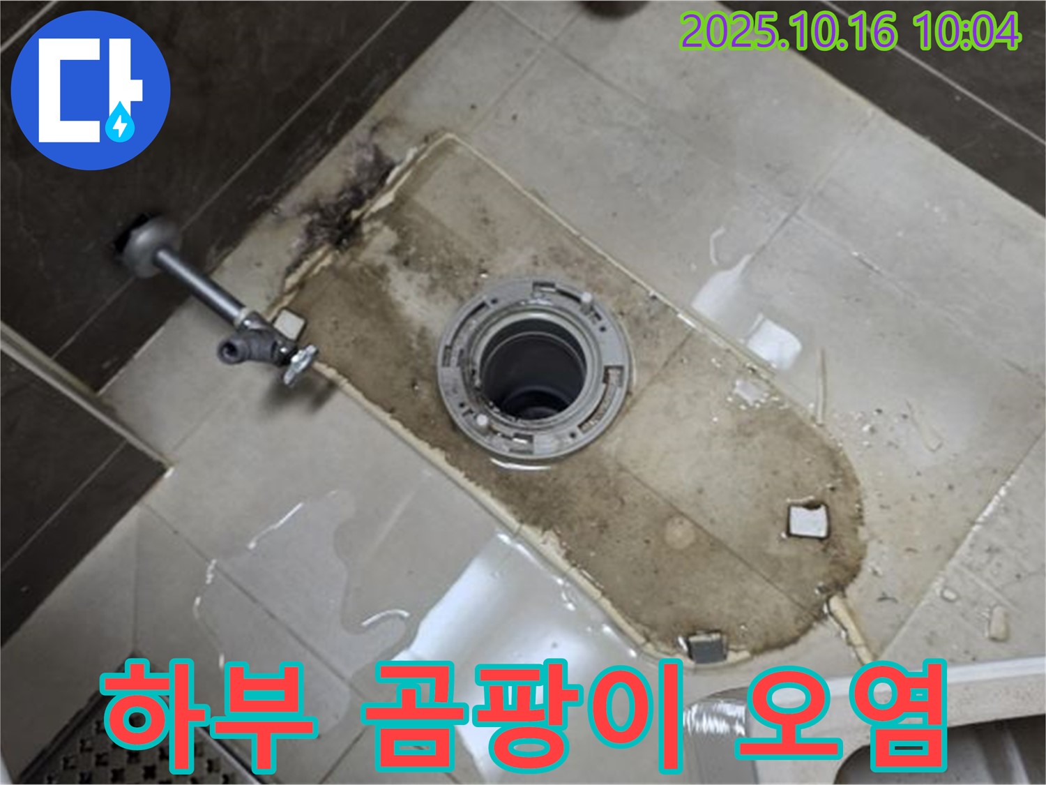 양주 옥정동 율정마을 13단지 아파트 변기 누수 - 하부 곰팡이와 오염으로 인한 누수 - 깨끗하게 청소하고 곰팡이 제거