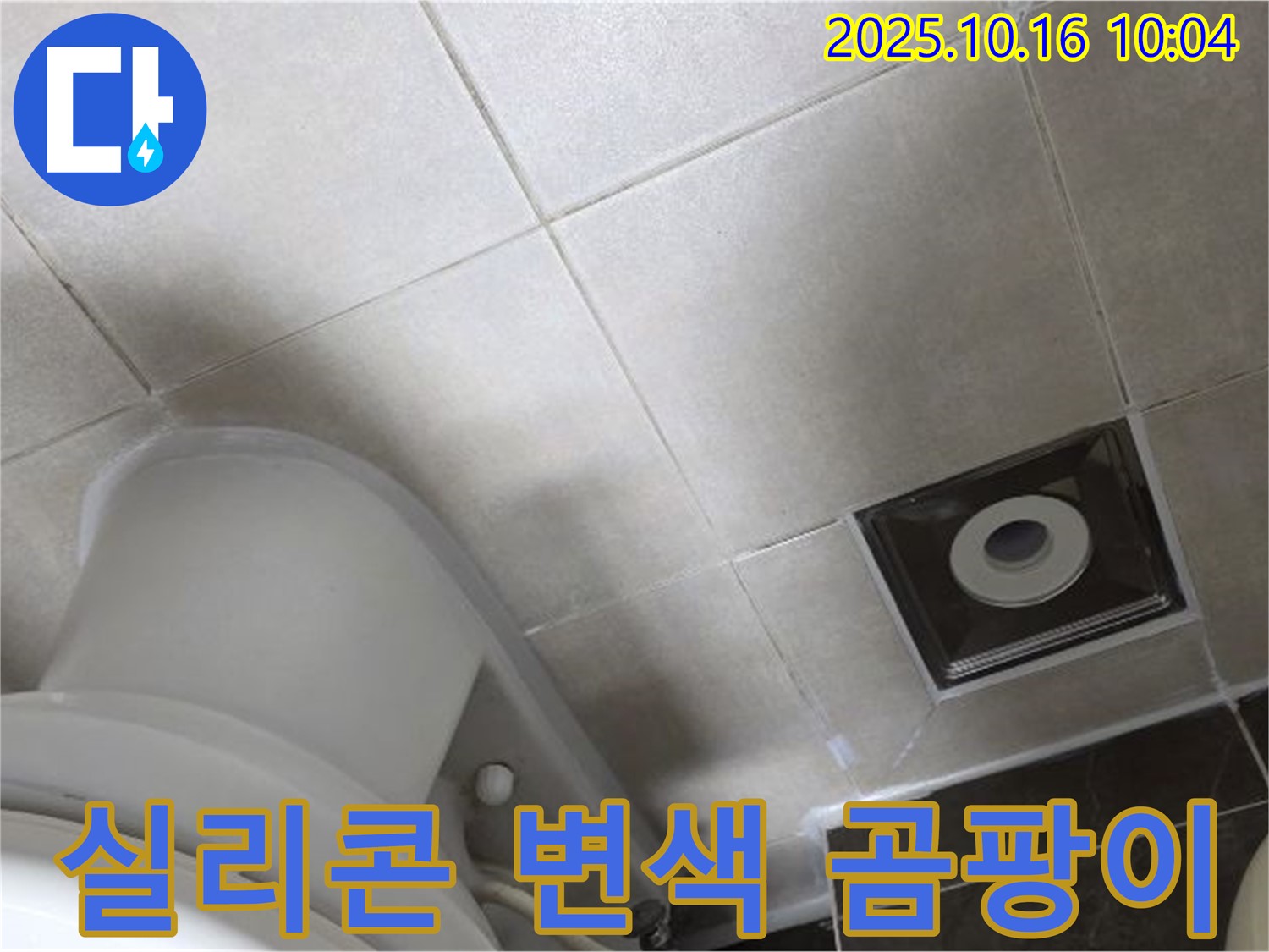 양주 율정마을 화장실 누수 - 변기 주변 타일 틈새 실리콘 미세 변색 및 초기 곰팡이