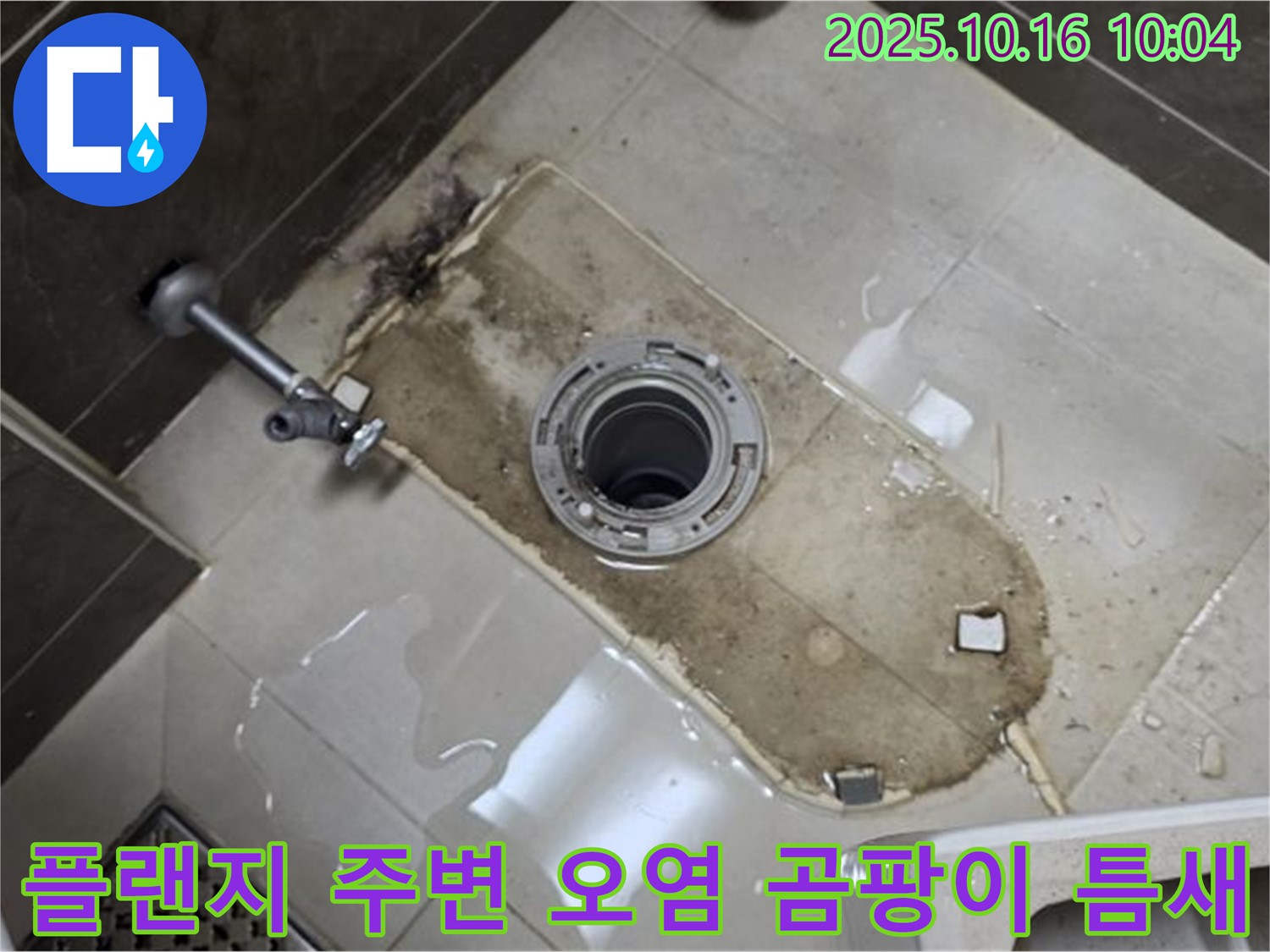 옥정동 율정마을 아파트 변기 누수 - 변기 플랜지 주변 심한 오염, 곰팡이, 틈새 누수 해결 - 깨끗하게 청소하고 곰팡이 제거, 틈새까지 꼼꼼하게 메움