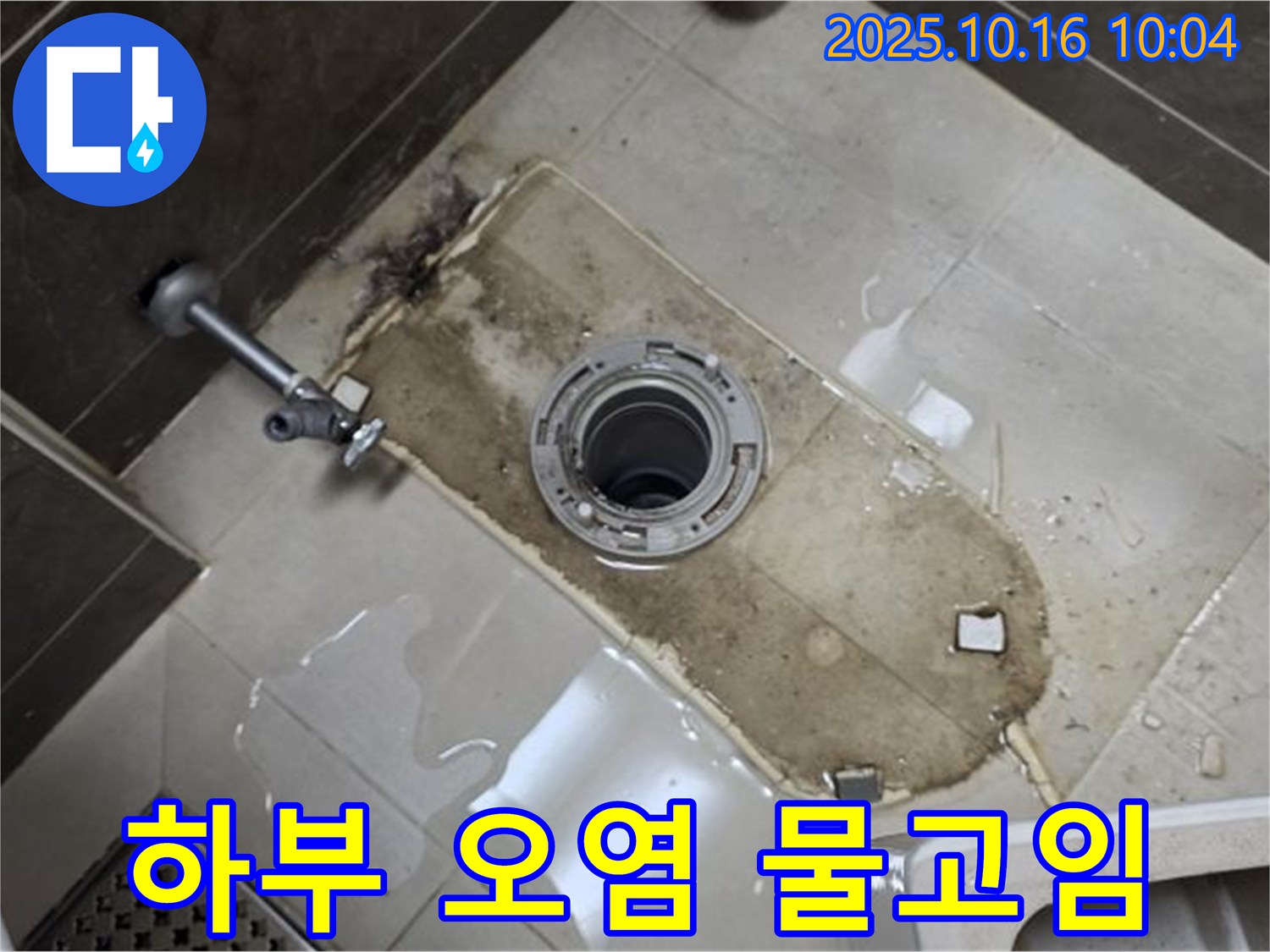 옥정동 율정마을 아파트 변기 누수 - 변기 하부 오염 심각, 물 고임 - 누수 진행 여부 정밀 진단