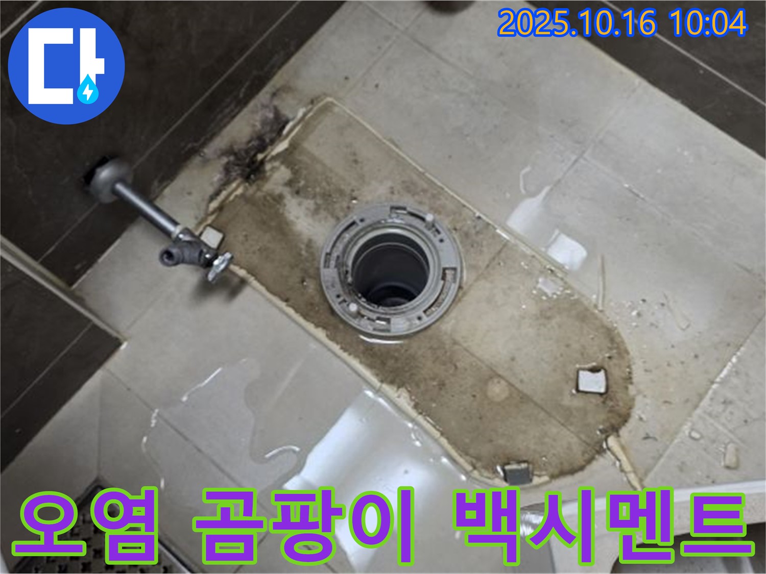 옥정동 율정마을 아파트 변기 누수 - 심한 오염과 곰팡이, 백시멘트 손상 누수 해결 - 깨끗하게 청소하고 곰팡이 제거, 백시멘트까지 완벽하게 보수