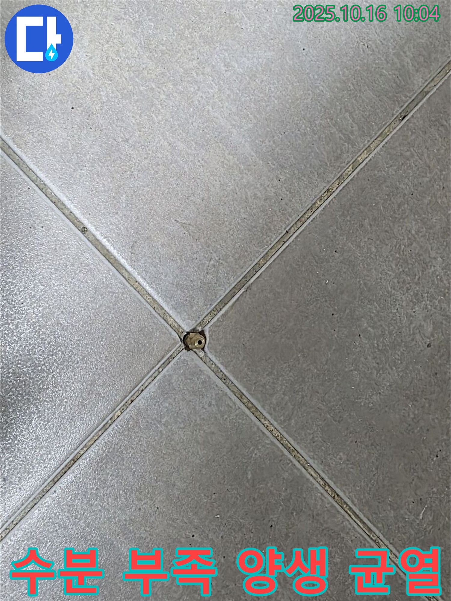 옥정동 율정마을 아파트 타일 틈새 백시멘트 시공 후 수분 부족 - 양생 불량 및 균열 발생