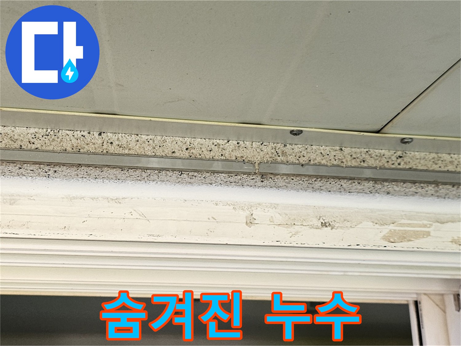 숨겨진 누수 - 천장 속에 숨겨진 누수를 찾아내는 과정입니다.