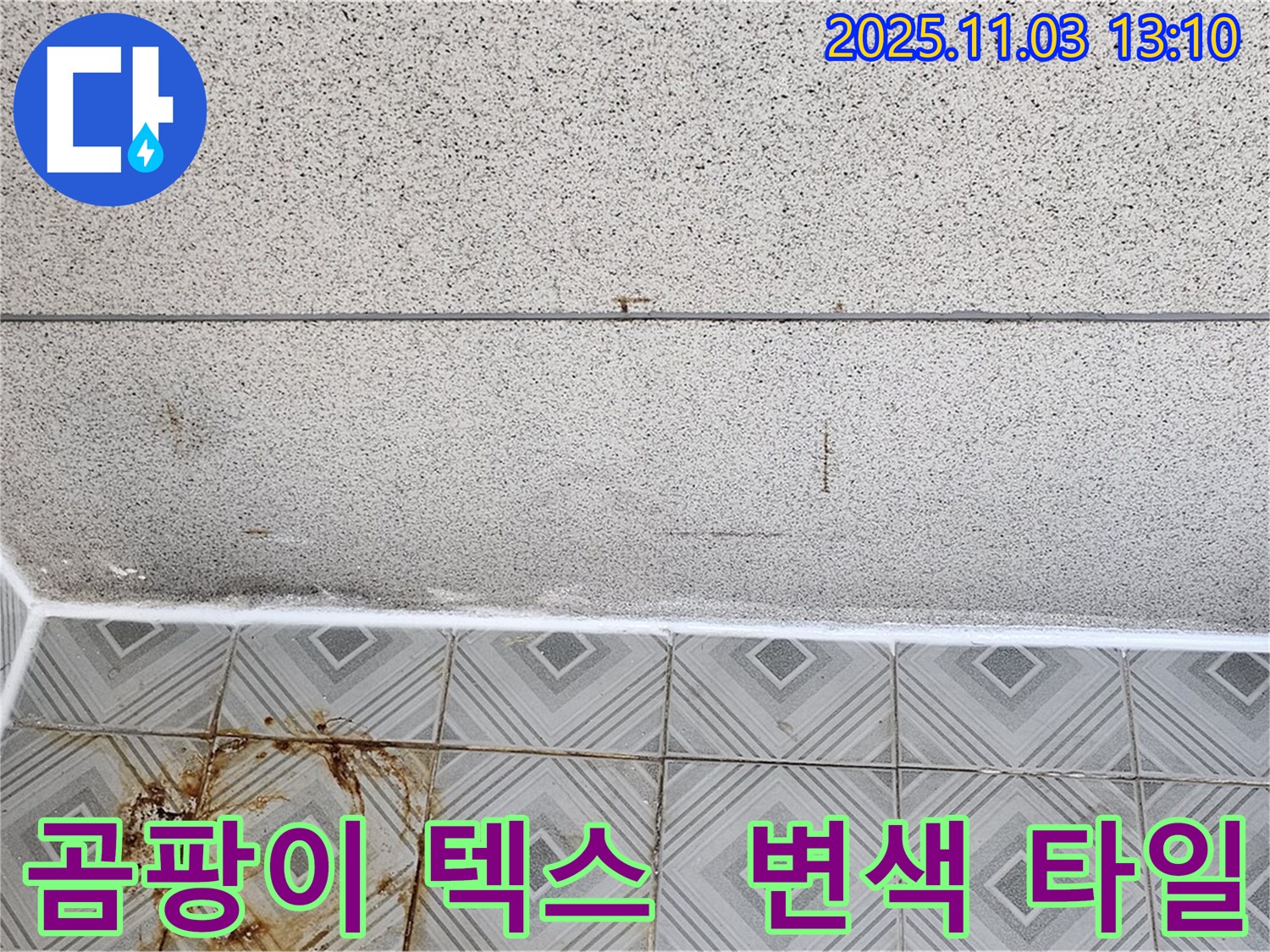 신월동 누수 - 곰팡이 핀 천장 텍스와 변색된 타일, 누수 가능성 면밀히 확인 진행 - 양천구 누수 전문.