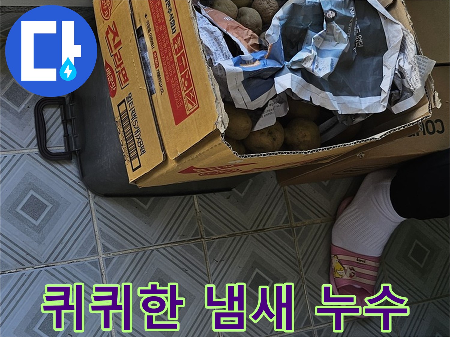 신월동 누수 현장 - 감자 박스 주변에서 퀴퀴한 냄새가 난다면 누수를 의심해야 합니다 - 즉시 전문가에게 문의하세요.