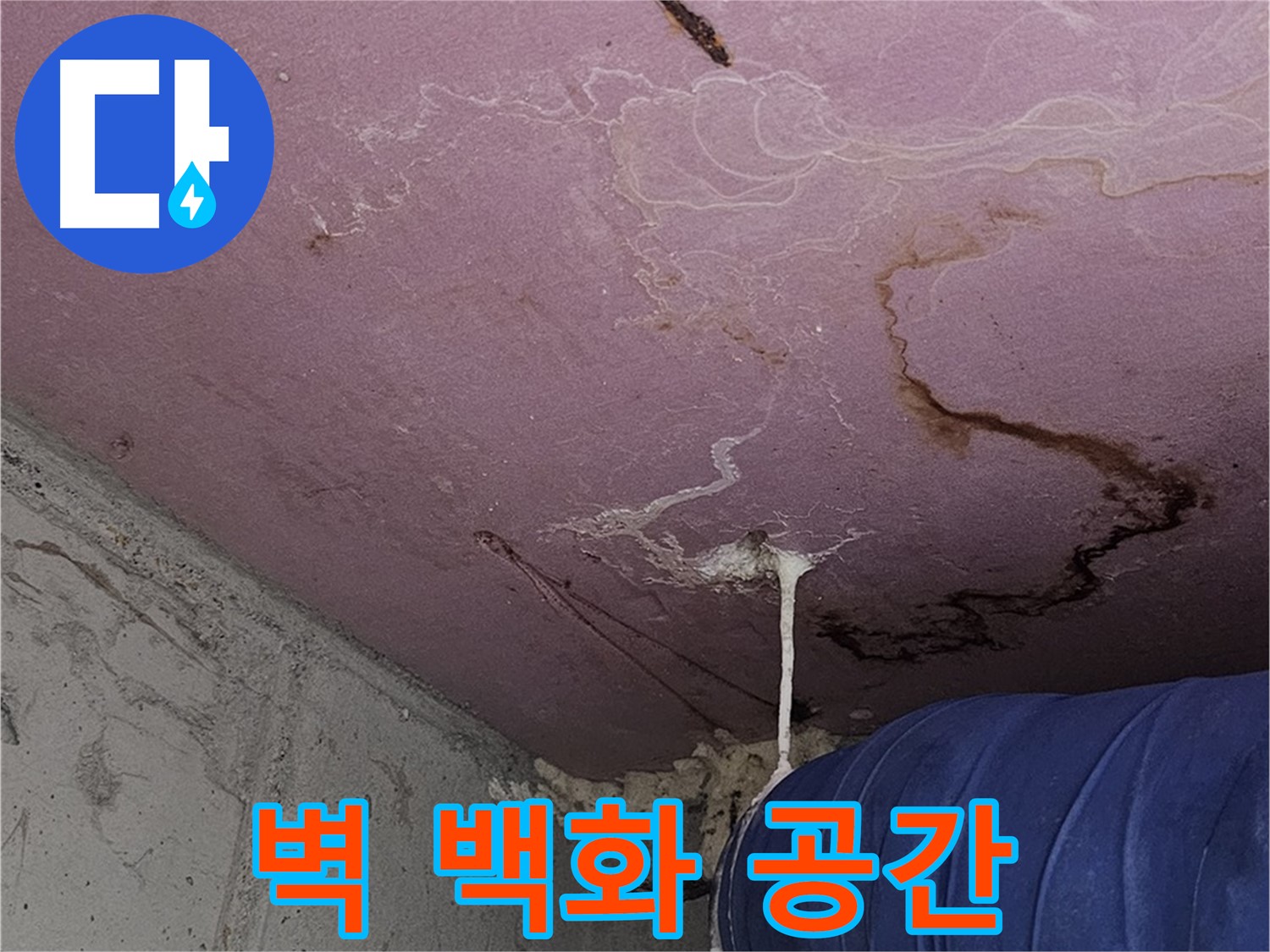 신월동 양천구 누수 - 벽 백화현상 - 쾌적한 공간