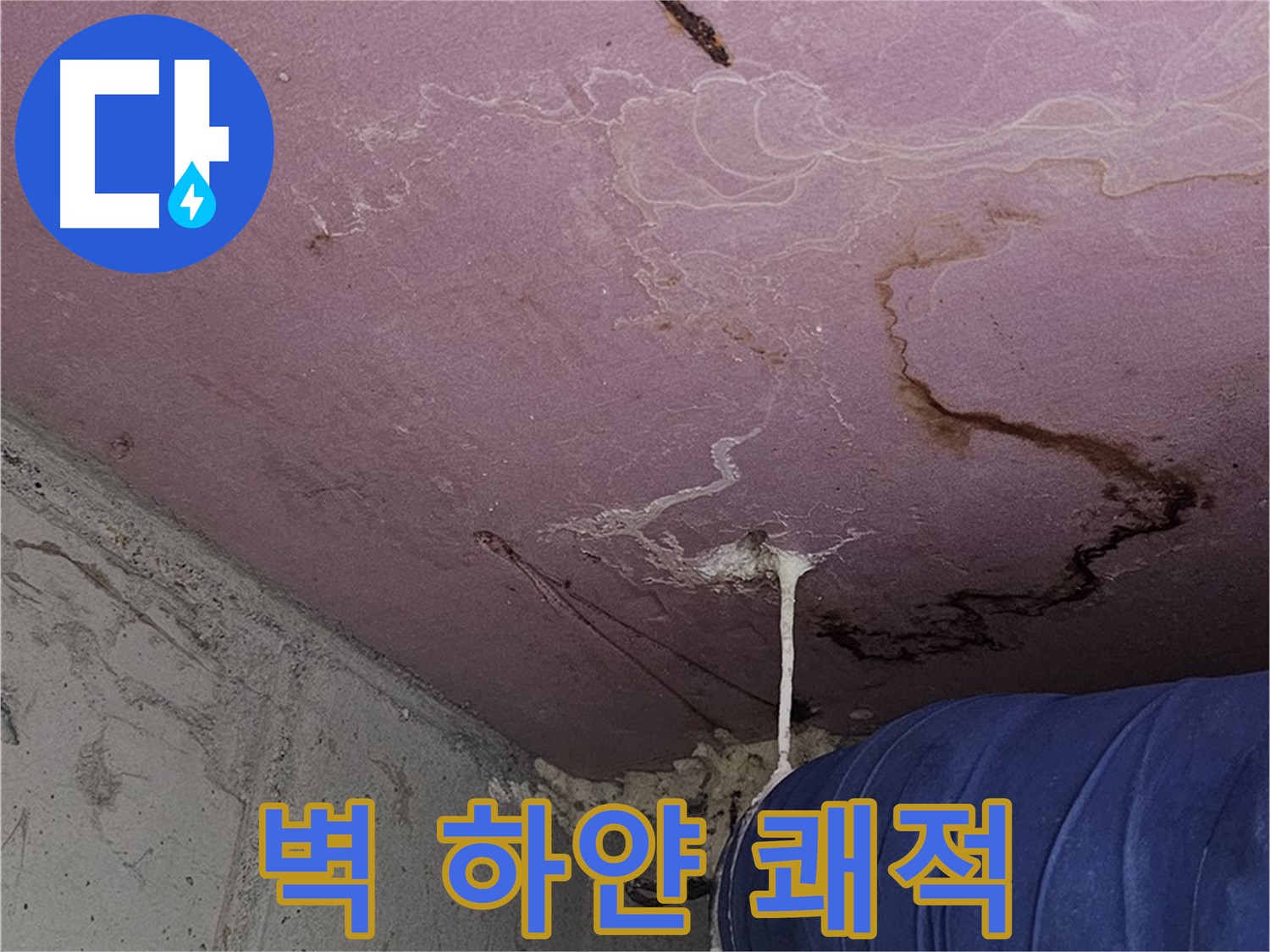 신월동 양천구 누수 - 벽 하얀 솜털 - 쾌적하고 건강한 공간