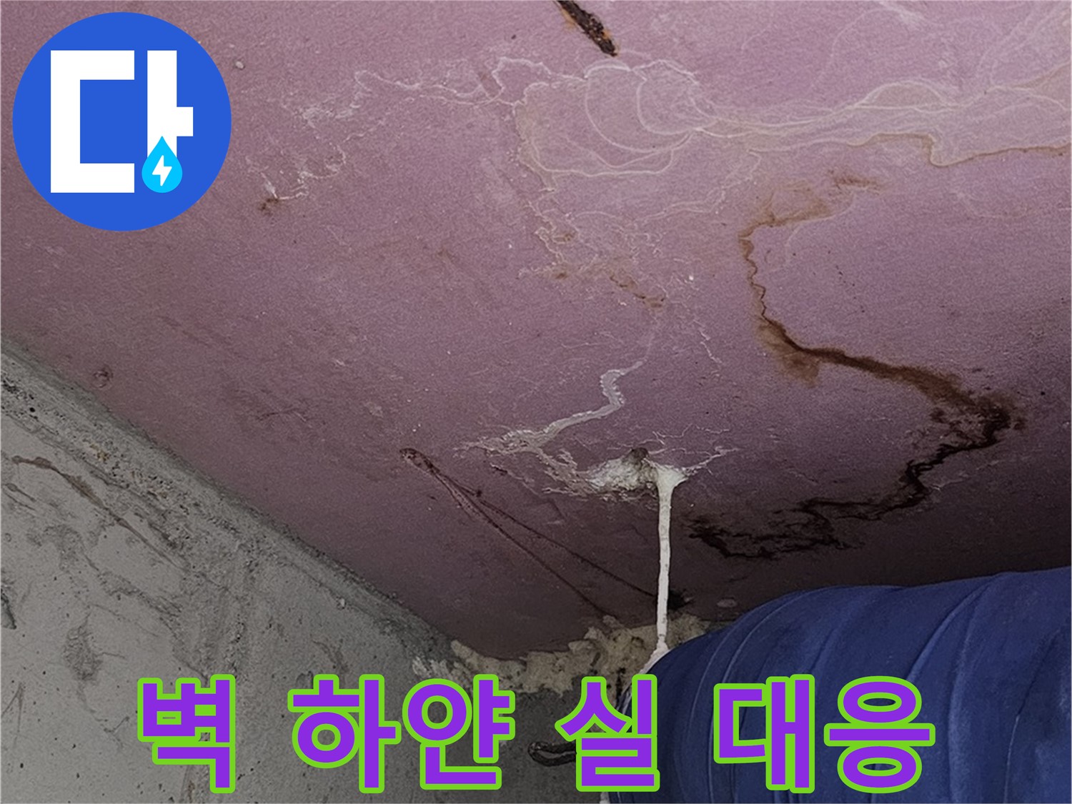 신월동 양천구 누수 - 벽 하얀 실 - 곰팡이 초기 대응