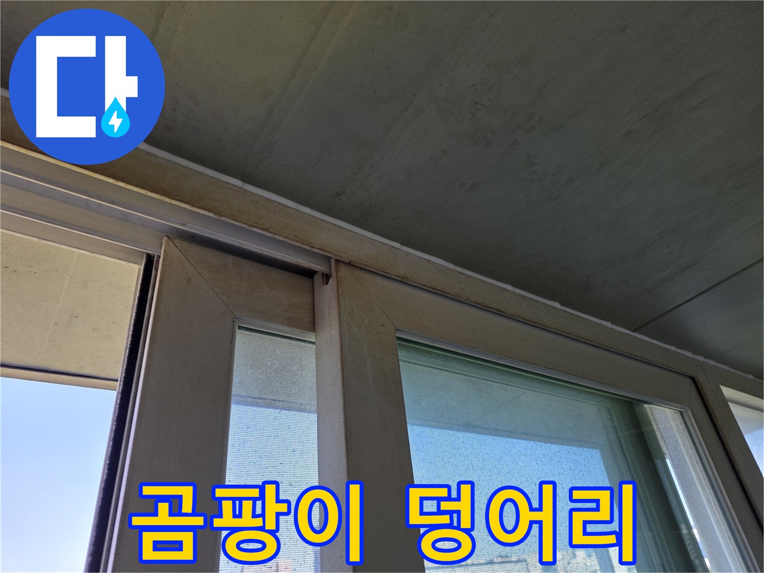 신월동 양천구 창틀 누수 - 곰팡이 덩어리 - 심각한 번식 상태