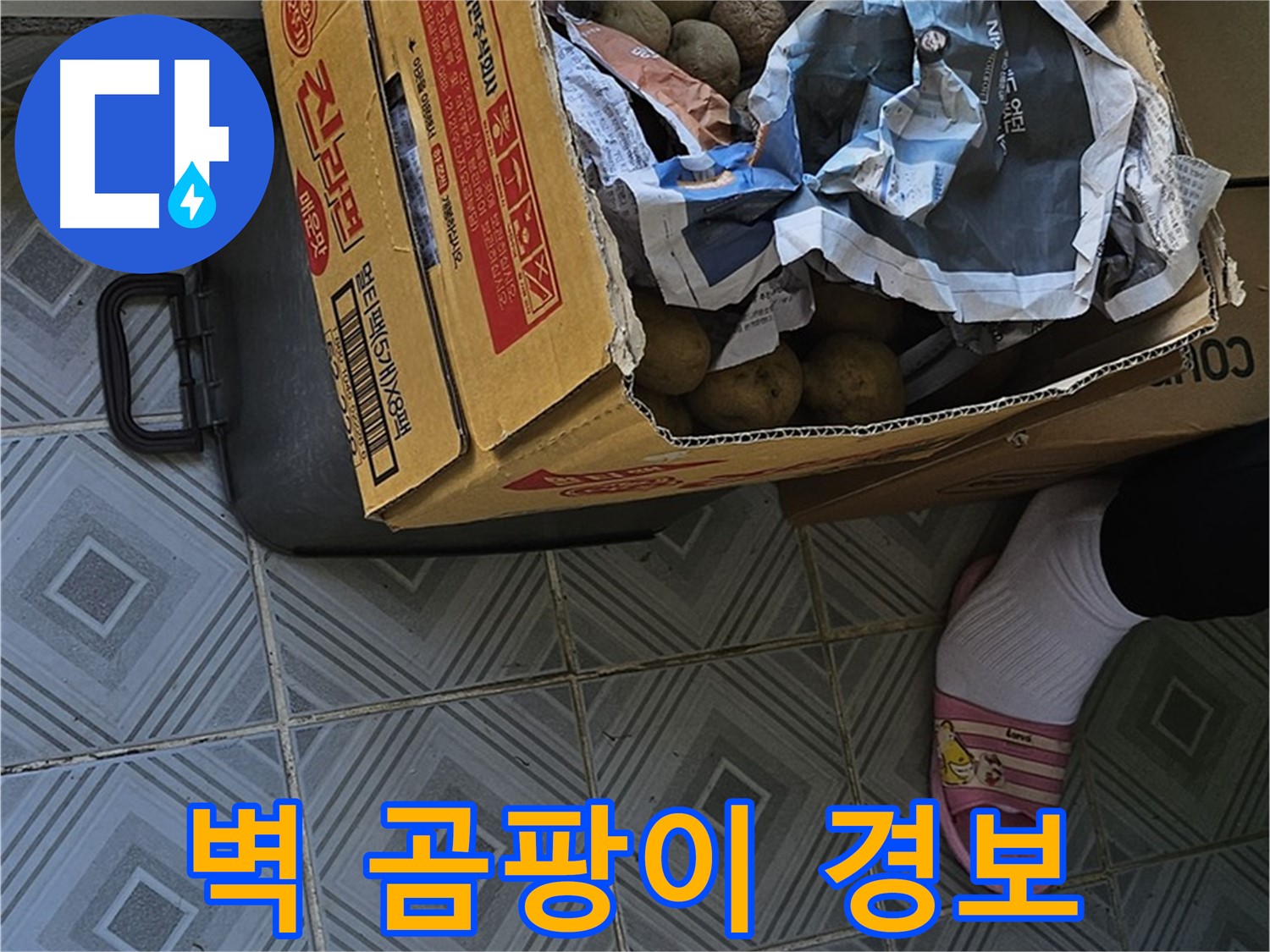 신월동 엘리시안 A동 누수 현장 - 감자 박스 주변 벽에 곰팡이가 피었다면 건강에 적색 경보가 켜진 것입니다 - 즉시 누수 점검을 받으세요.