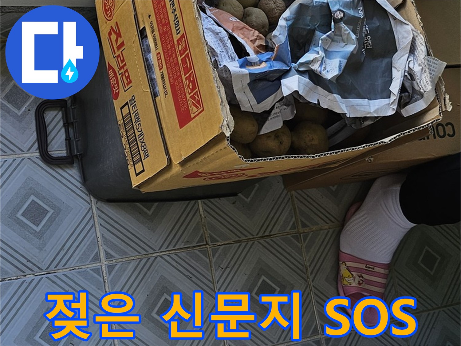 신월동 엘리시안 누수 현장 - 젖은 신문지와 감자 박스가 함께 있다면 긴급 SOS 신호일 수 있습니다 - 즉시 전문가에게 문의하세요.