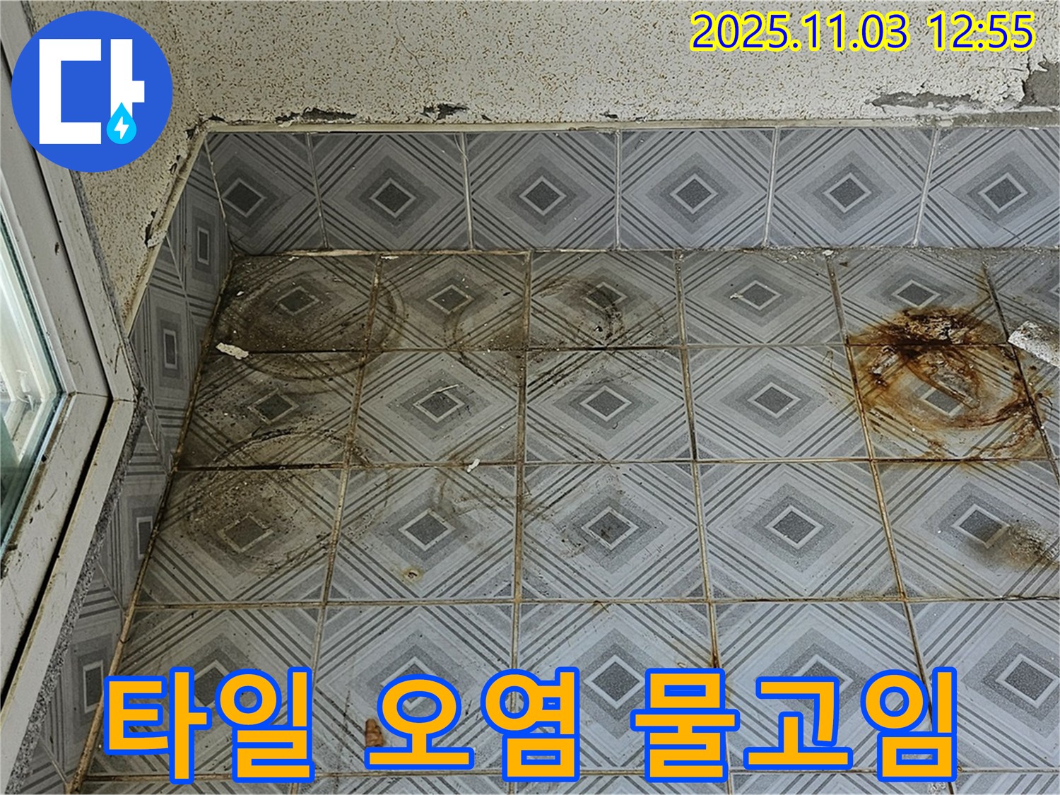 신월동 타일 바닥 누수 현장 - 심각한 오염과 물고임은 누수의 명백한 신호 - 즉각적인 조치가 필요합니다.
