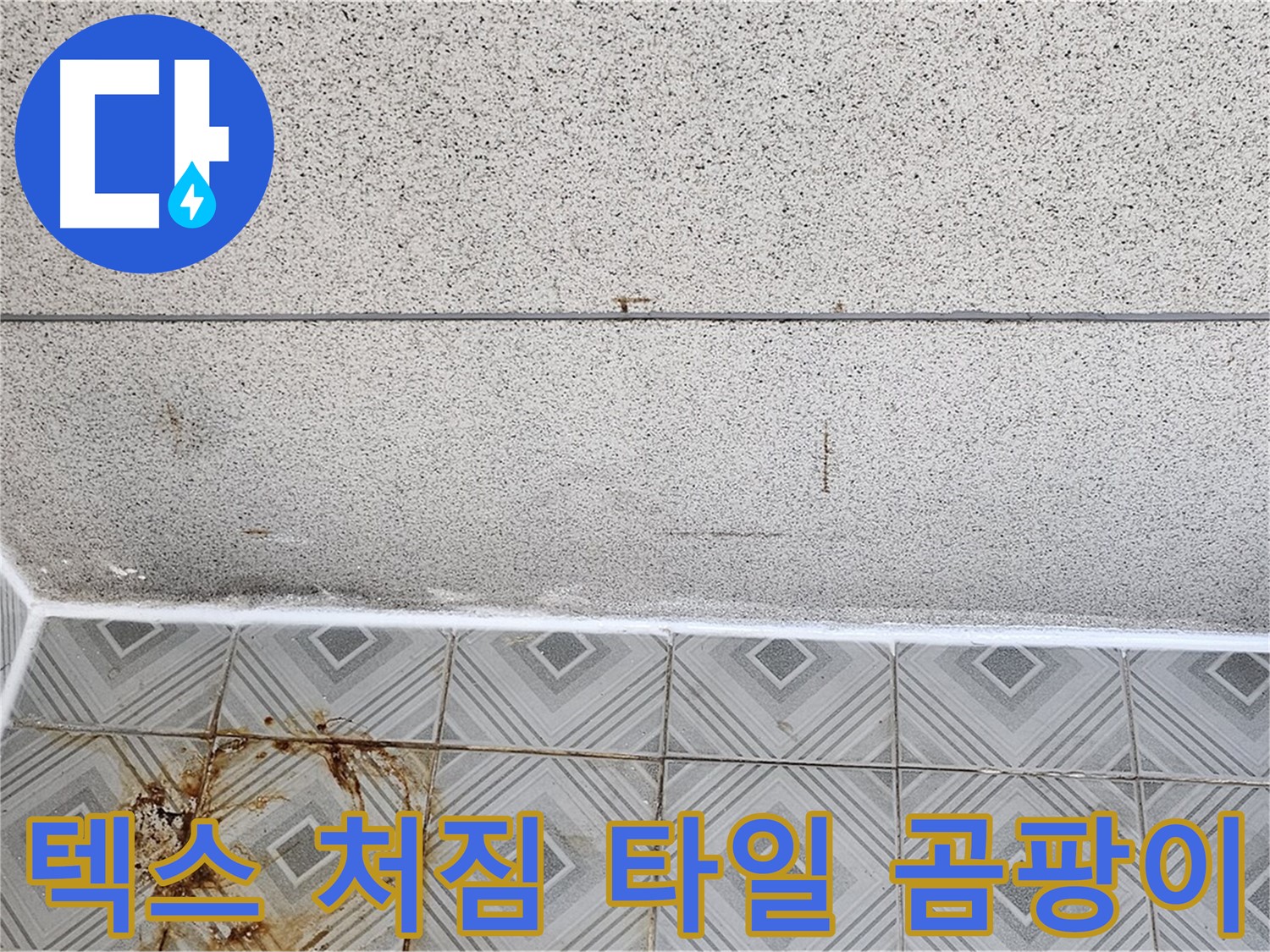 신월동 - 텍스 처짐 - 타일 곰팡이 - 누수 초기 의심