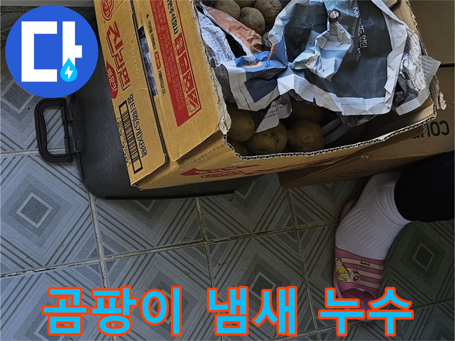 양천구 누수 현장 - 감자 박스 주변에서 곰팡이 냄새가 난다면 누수를 의심해야 합니다 - 쾌적한 환경을 위해 점검하세요.