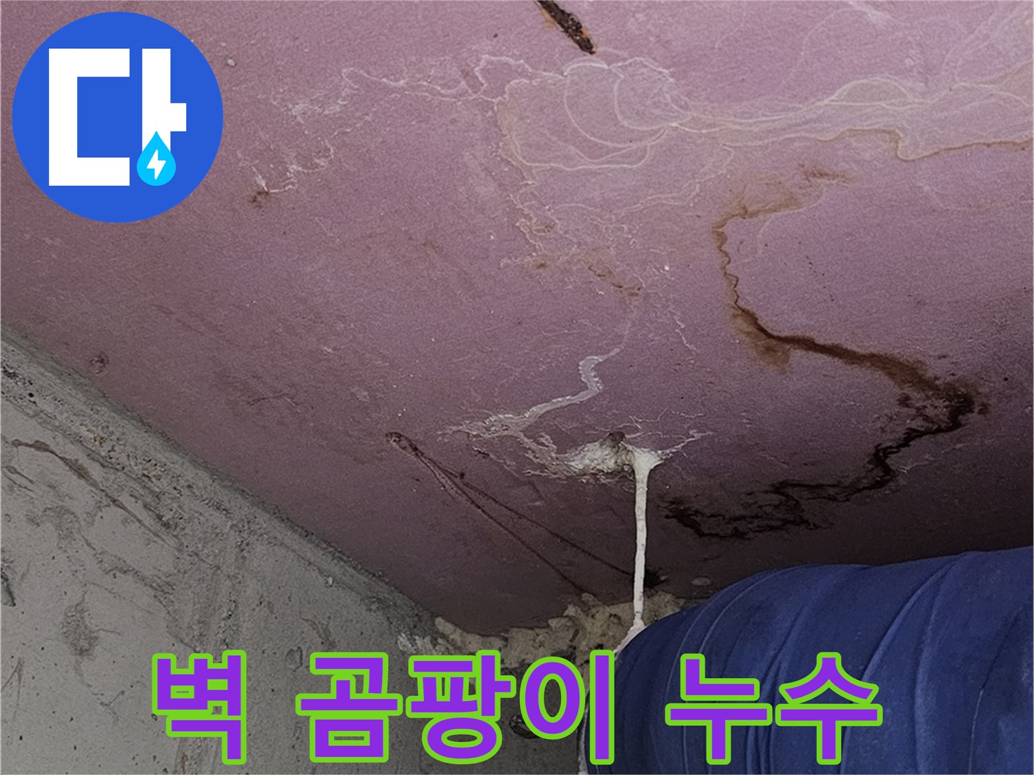 양천구 신월동 누수 - 벽 곰팡이, 누수 - 쾌적한 환경