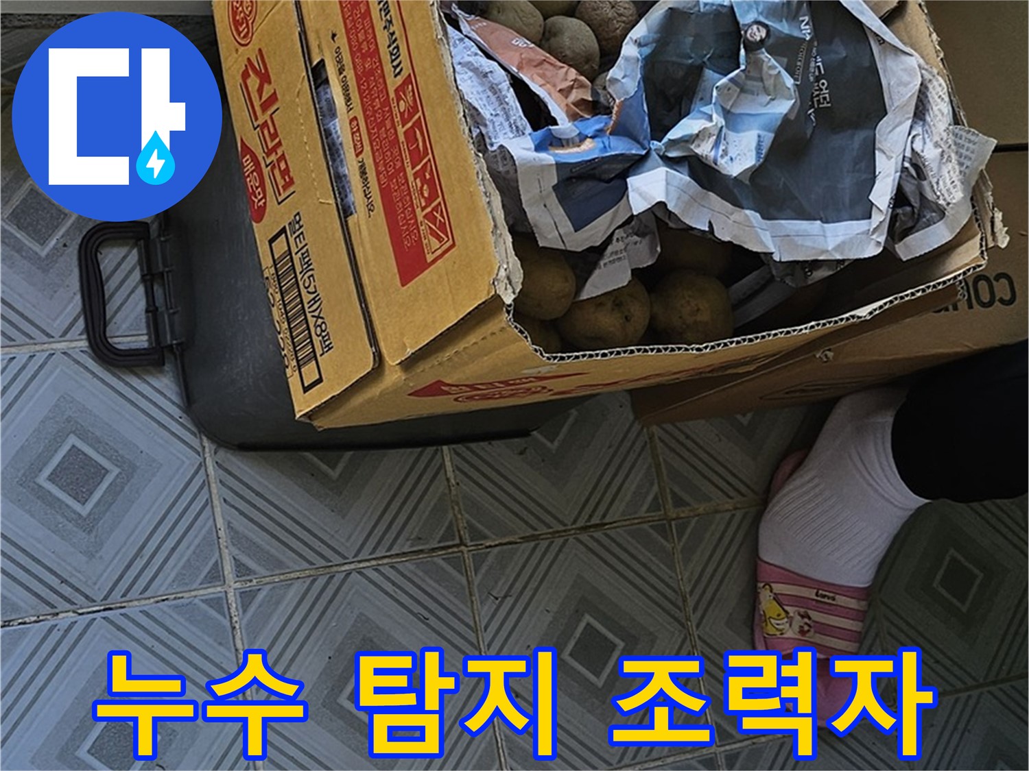 양천구 신월동 누수 현장, 감자 박스 - 누수 탐지를 돕는 숨은 조력자 역할을 할 수 있습니다.