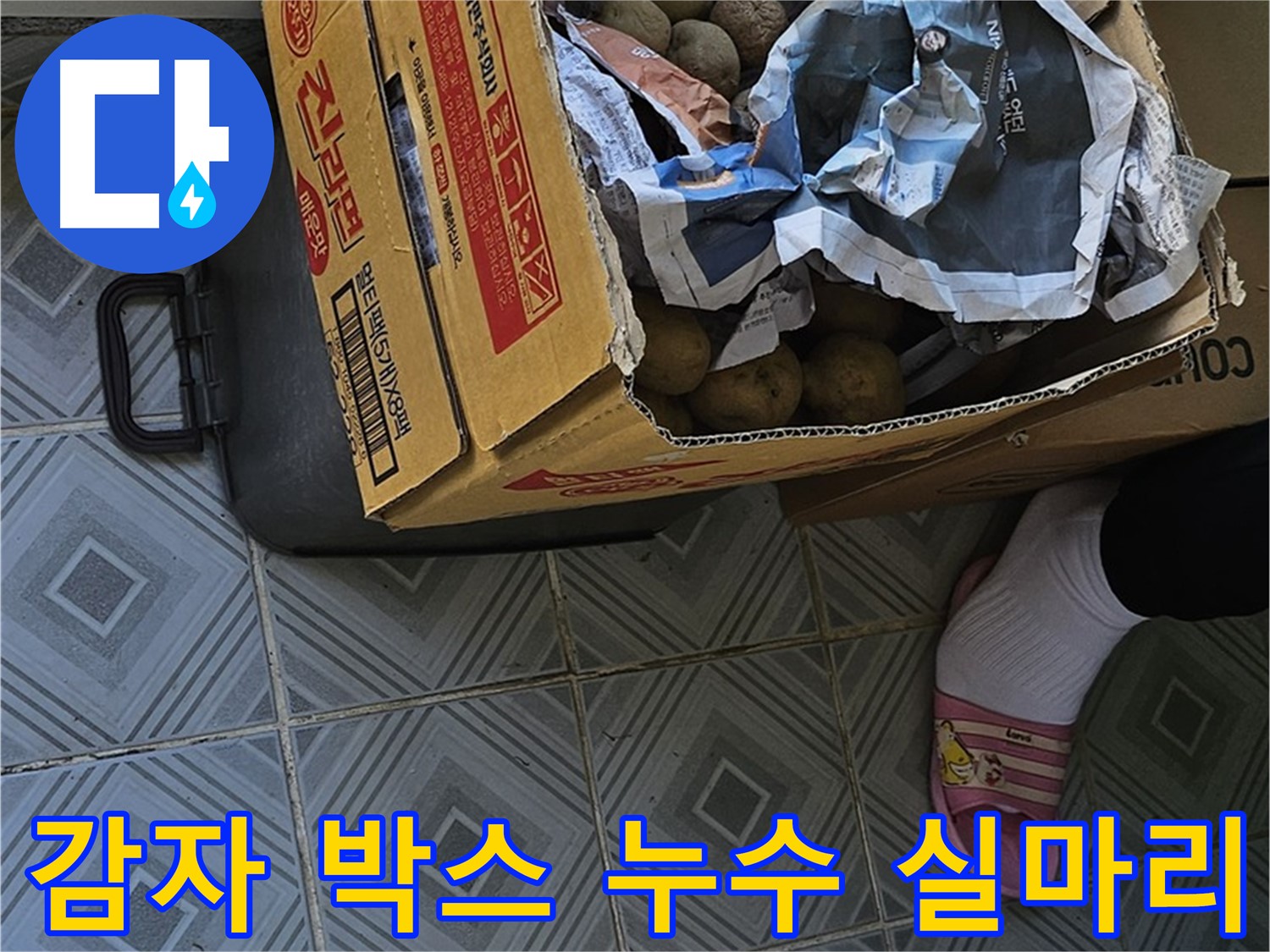 양천구 신월동 누수 현장, 감자 박스 - 누수 해결을 위한 중요한 실마리가 될 수 있습니다.