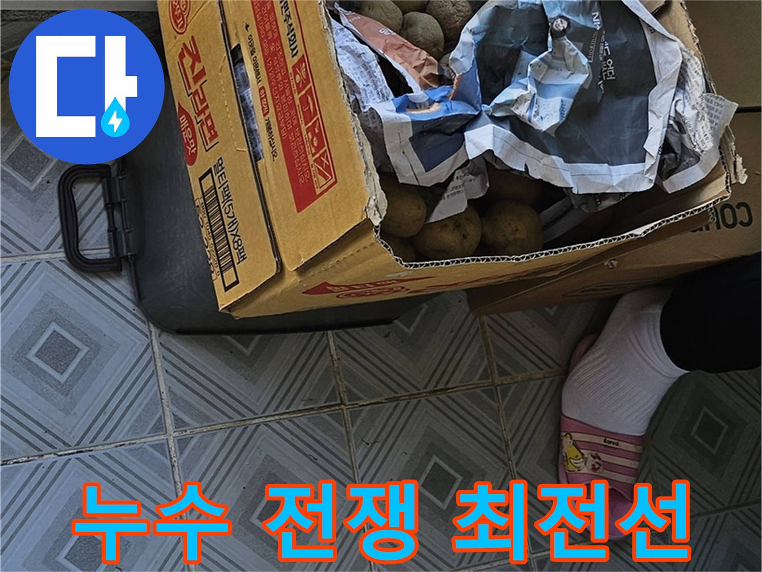 양천구 신월동 누수 현장 - 감자 박스는 누수와의 전쟁 최전선에 놓여있을 수 있습니다 - 철저한 분석이 필요합니다.
