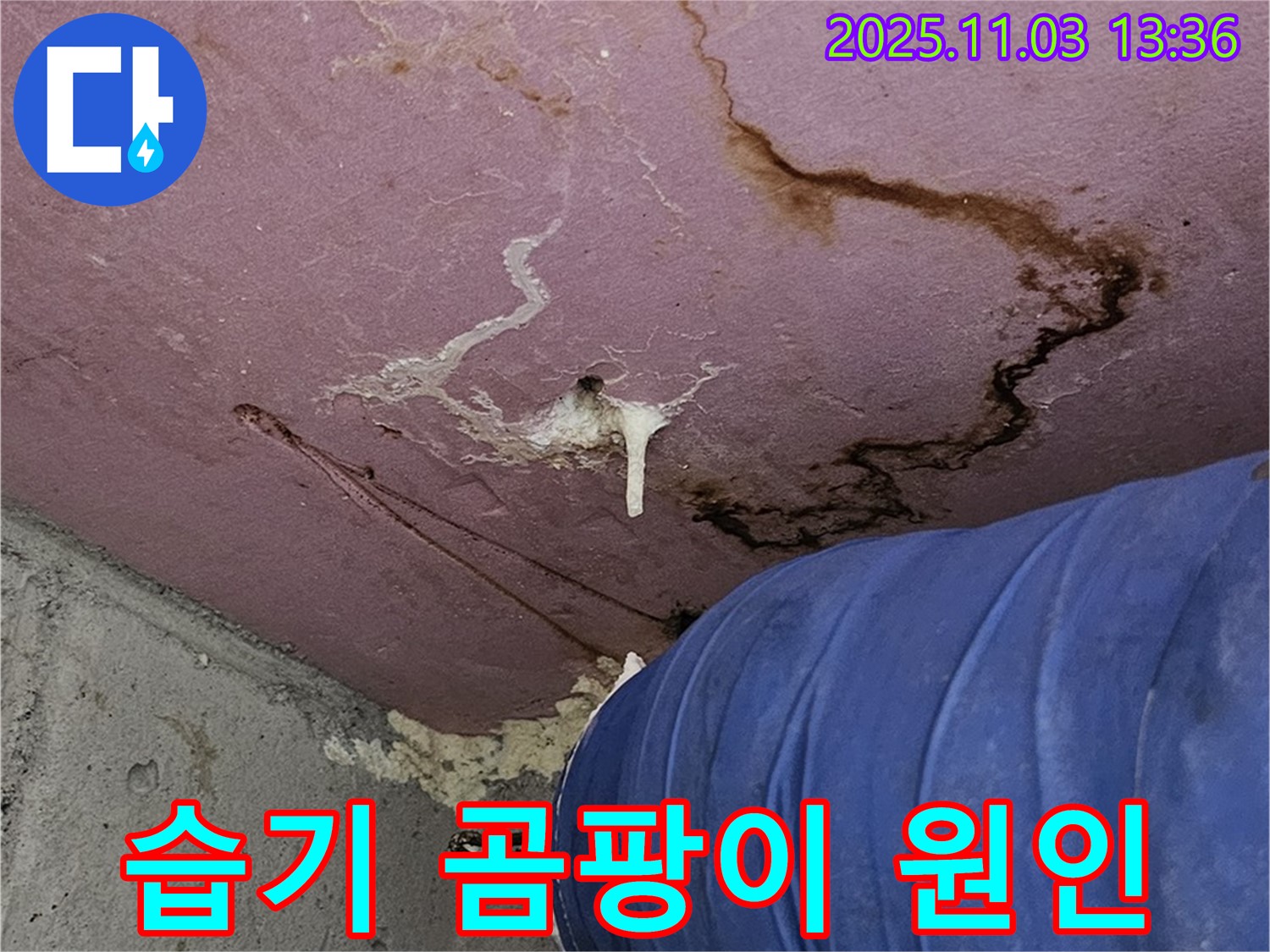 양천구 신월동 엘리시안 누수 현장 - 습기 찬 벽과 곰팡이 발생 원인 분석, 쾌적한 환경 조성