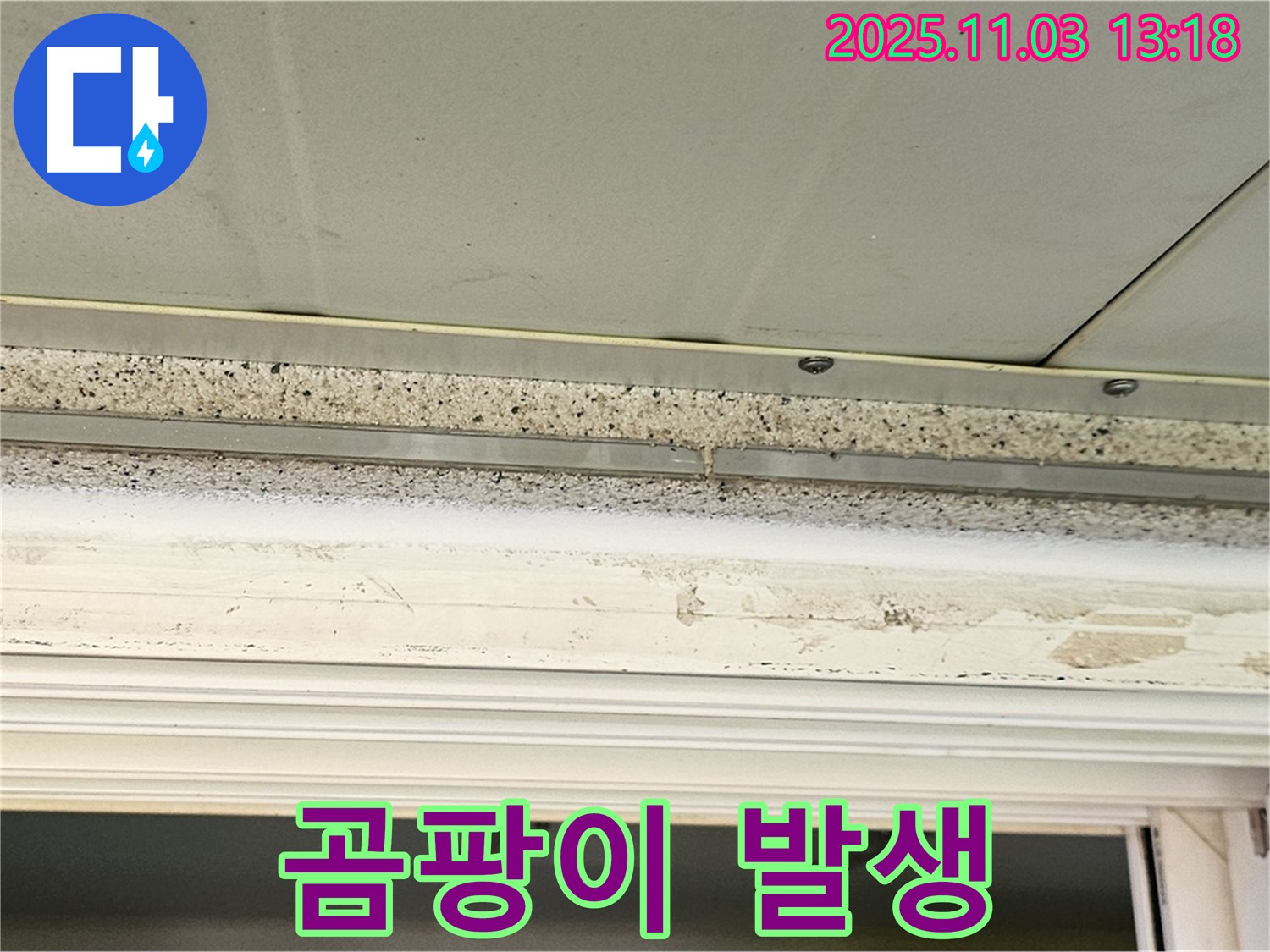 양천구 천장 누수 - 석고보드 젖음, 곰팡이 발생 가능성에 주의하세요!