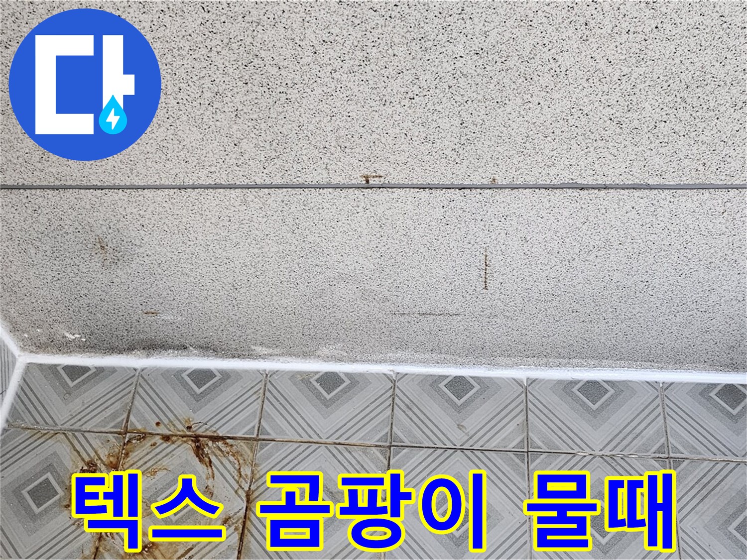 양천구 텍스 곰팡이 - 타일 물때 - 건강 주의
