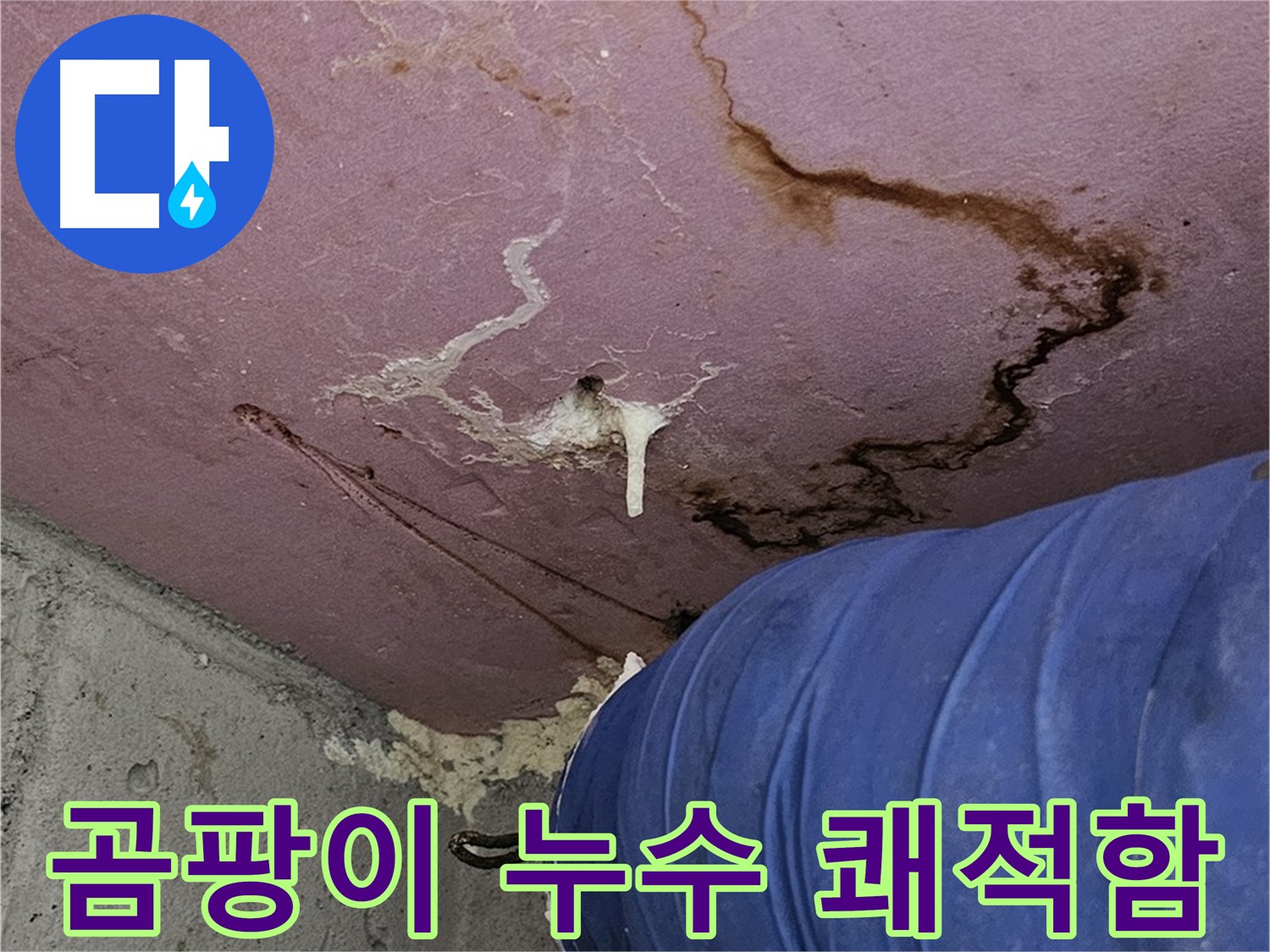 엘리시안 A동 곰팡이 - 누수 - 쾌적함 되찾기