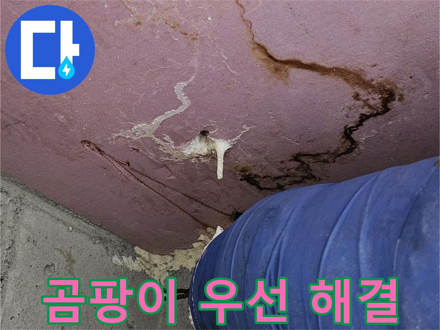 엘리시안 A동 곰팡이 벽 - 누수 해결 우선