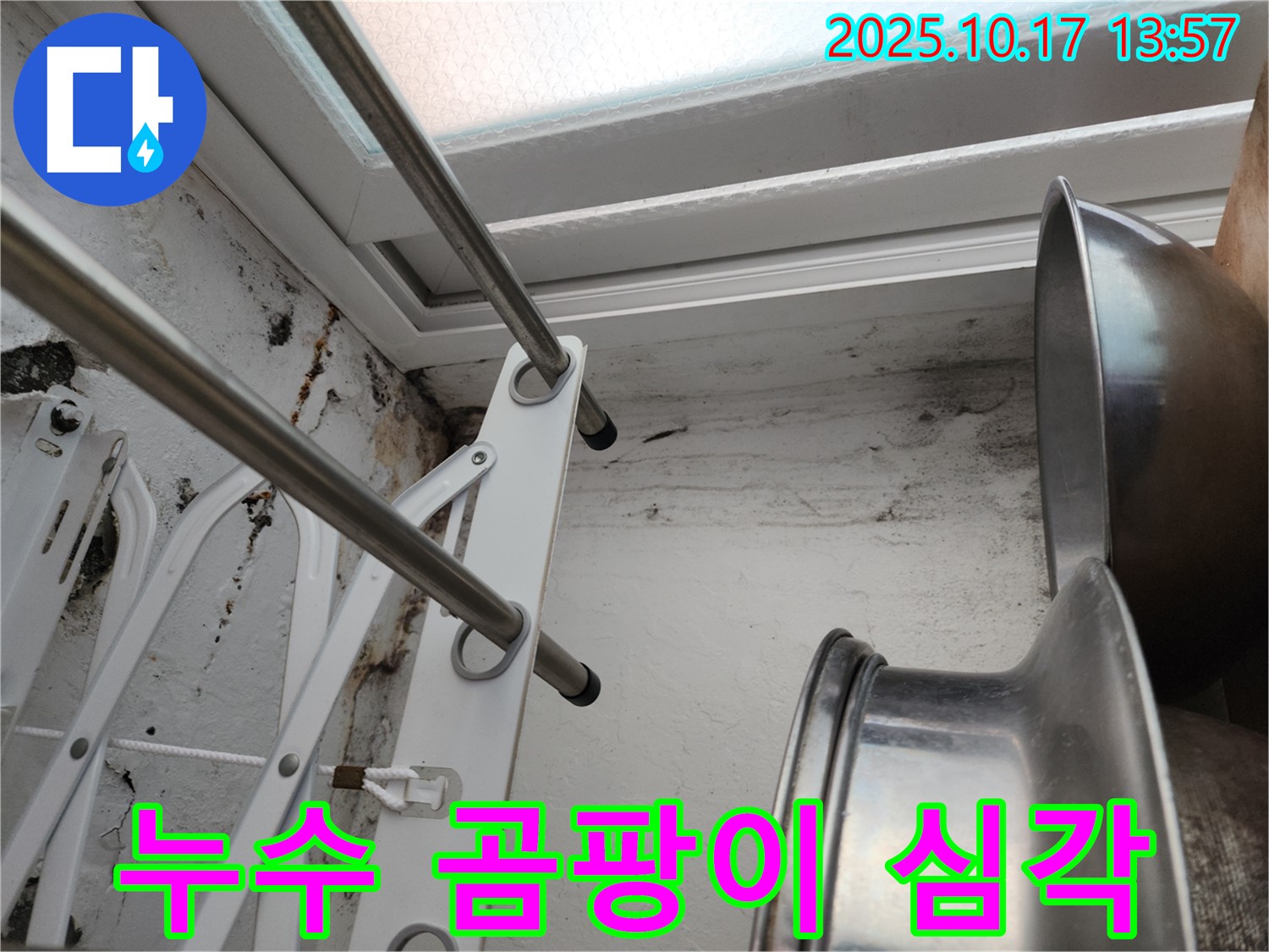 심각한 곰팡이와 누수 - 심각한 곰팡이와 누수 문제를 보여주는 사진입니다. 누수 해결의 중요성을 강조합니다.