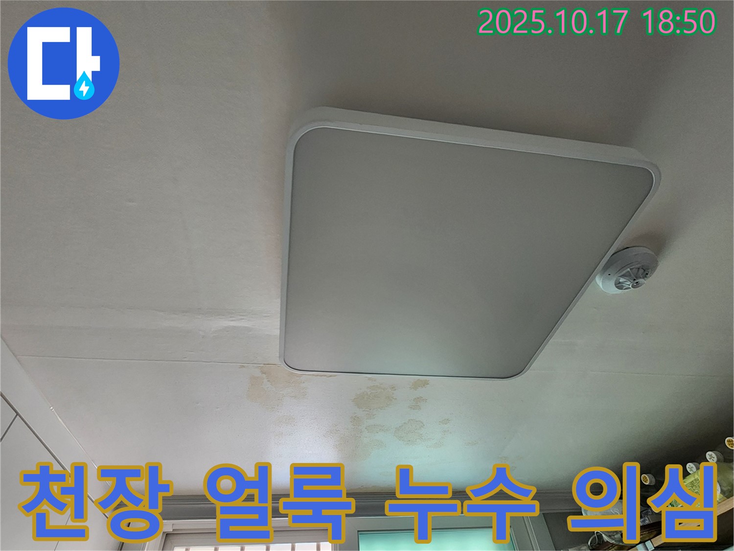 양주시 남면 상수리 주택 천장 - 천장 얼룩, 누수 의심 - 빠른 점검 필수
