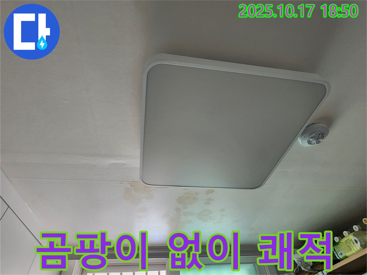 양주시 남면 주택 천장 - 곰팡이 걱정 없이 쾌적한 누수 해결
