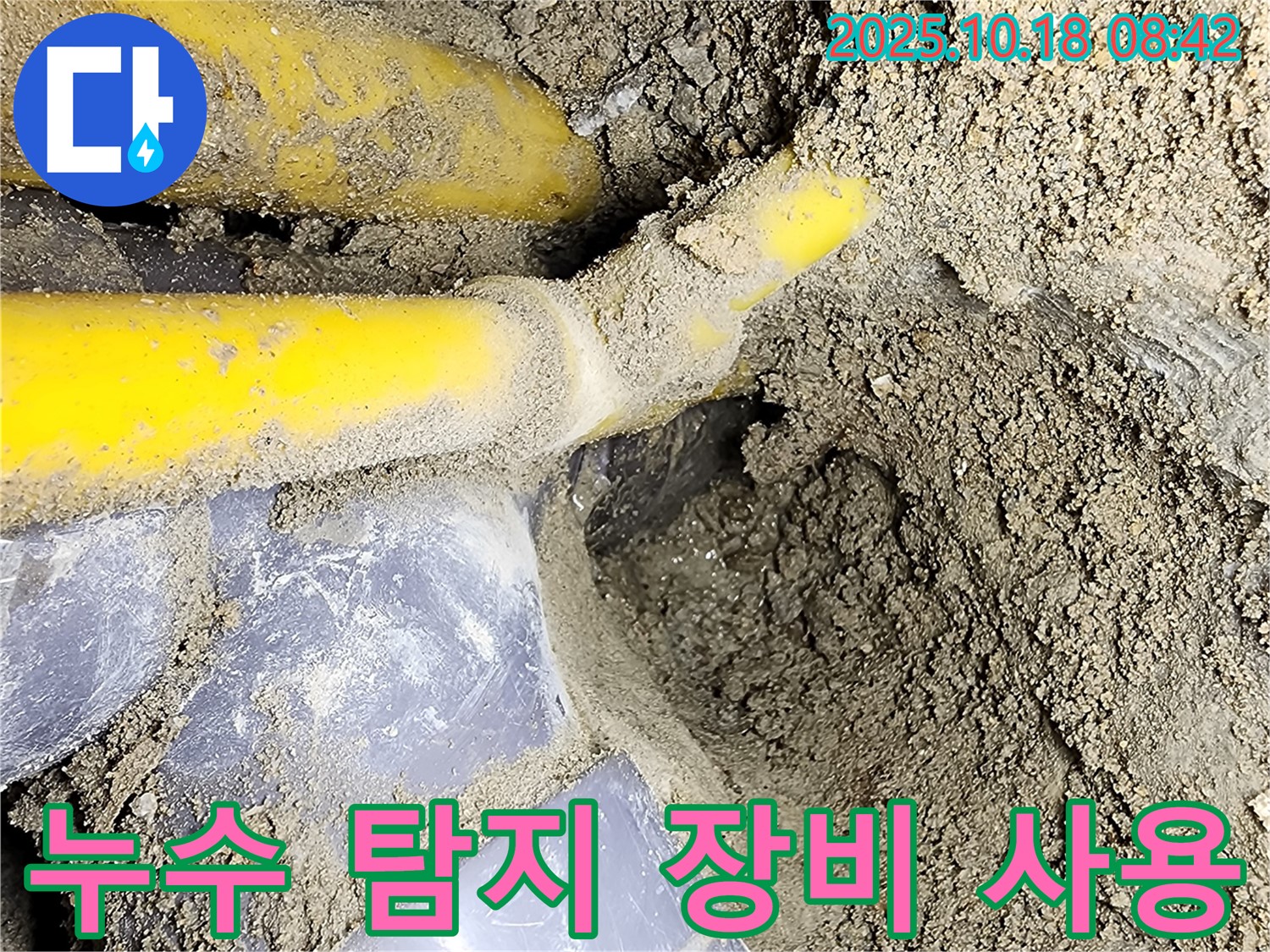 양주 장흥 누수 현장 - 전문 누수 탐지 장비를 사용하여 누수 지점을 찾고 있는 모습입니다.
