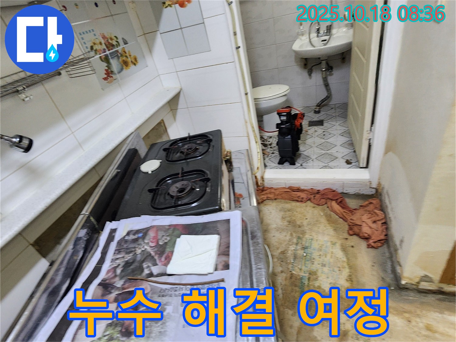 양주시 장흥면 울대리 주택 누수 - 누수 해결을 위한 긴 여정의 시작