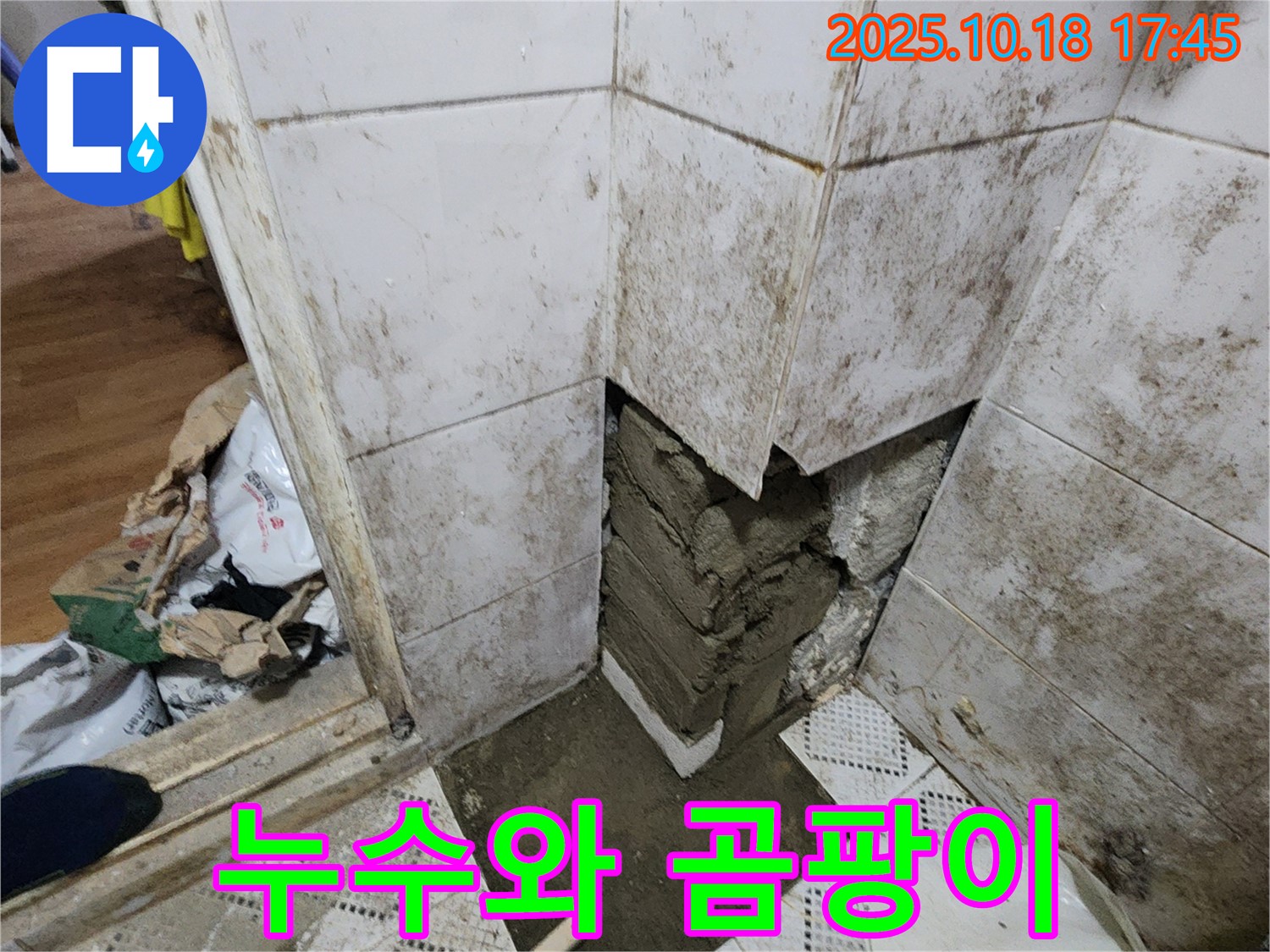 양주시 장흥면 교현리 누수 - 누수 곰팡이 흔적 - 최고의 기술력으로 해결