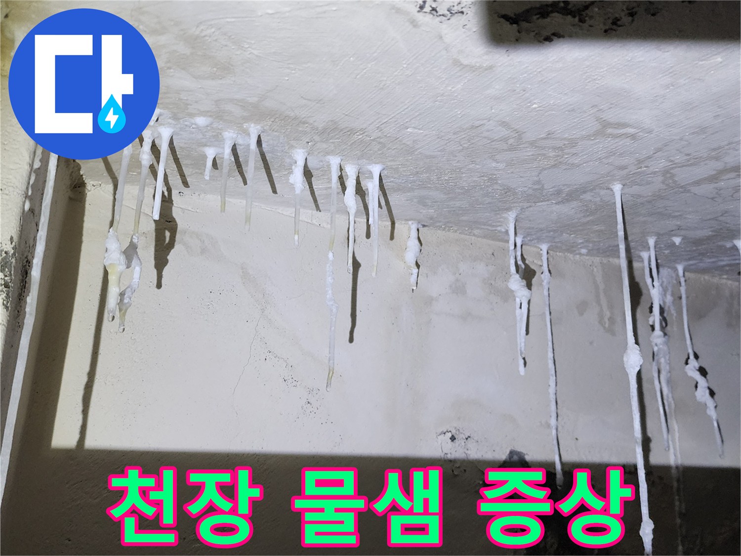 석현리 화장실 천장-백색 석회 고드름 발생 부위