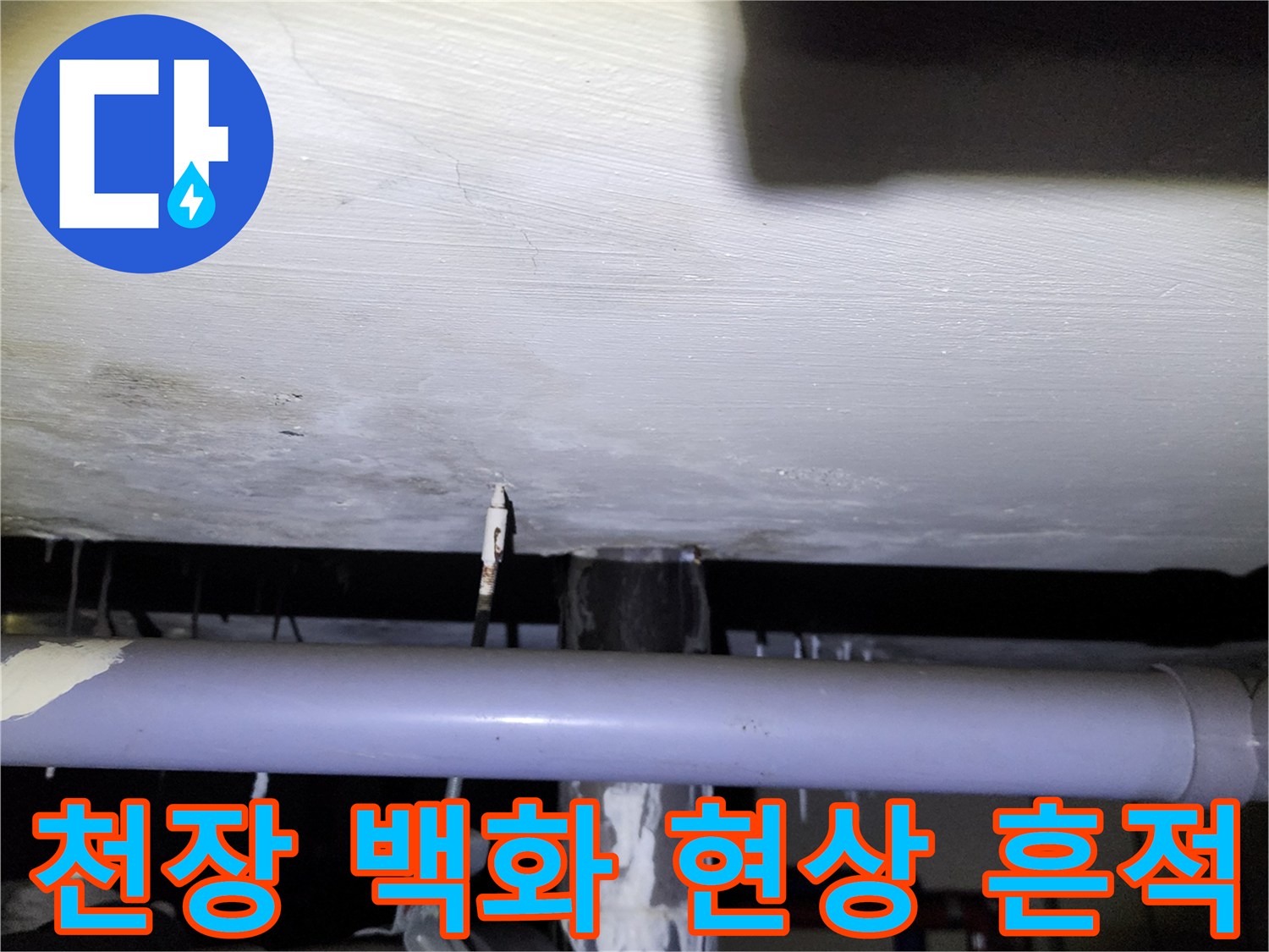 양주 석현리 건물 천장의 백화 현상과 물샘 흔적 이미지
