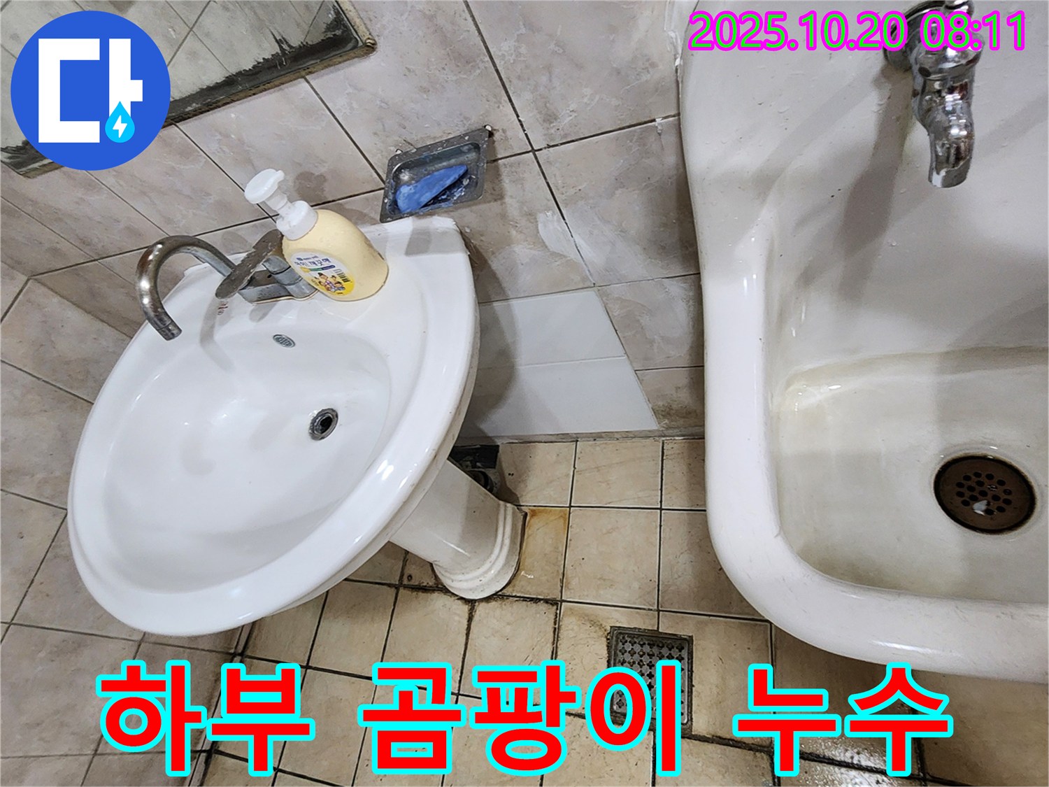 양주시 석현리 - 하부 곰팡이 - 곰팡이 제거와 누수 해결!