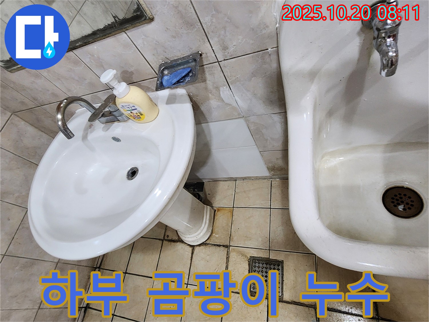 양주시 석현리 - 하부 곰팡이 - 곰팡이 제거와 누수 해결!