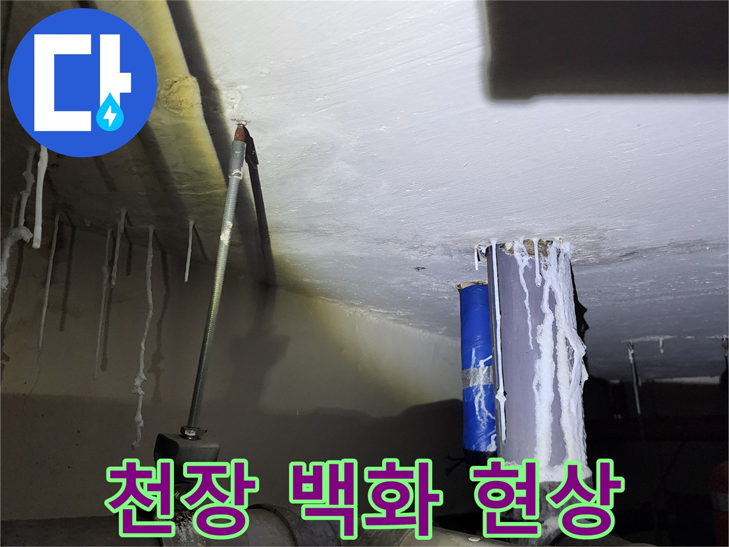 양주시 석현리-화장실 천장 배관 주변의 백화 현상 사진