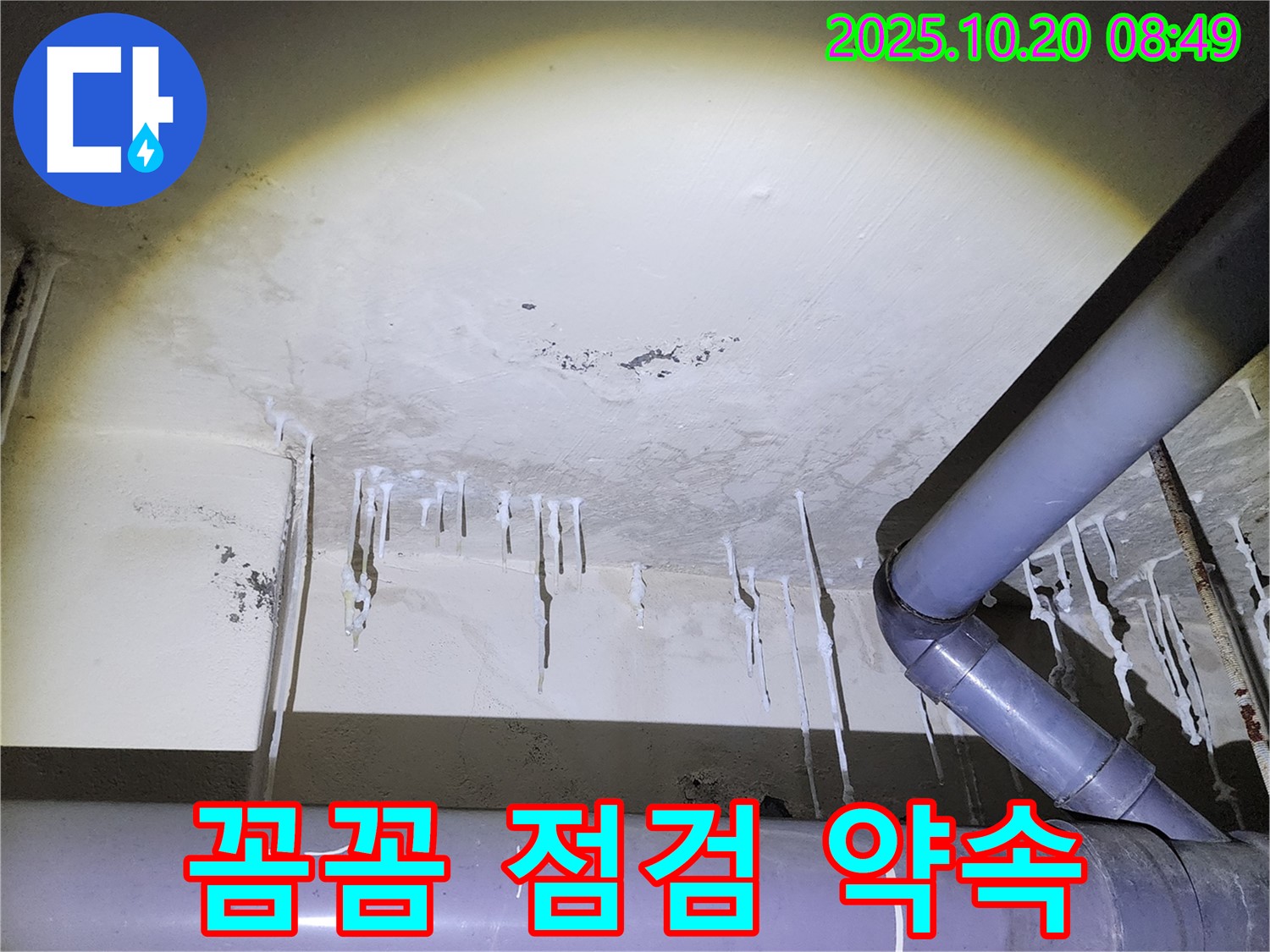 양주시 장흥면 석현리 누수 현장 - 꼼꼼한 누수 점검으로 재발 방지를 약속