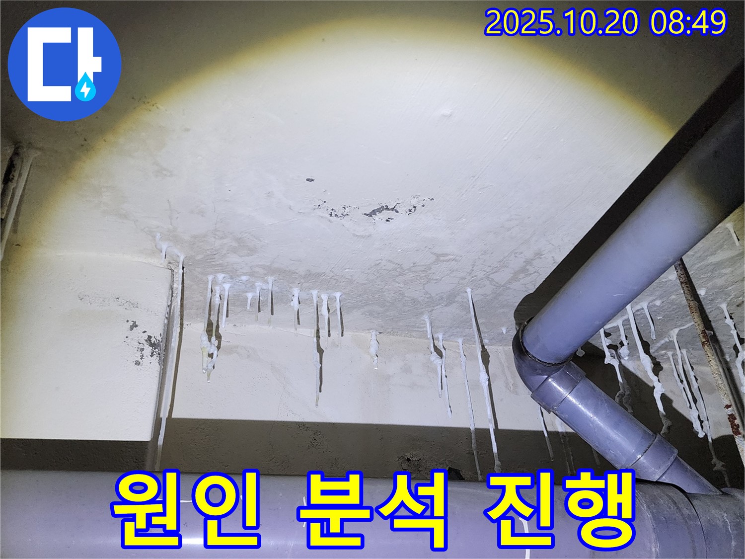 양주시 장흥면 석현리 누수 현장 - 천장 석회수 누수 원인 정밀 분석 진행 중입니다