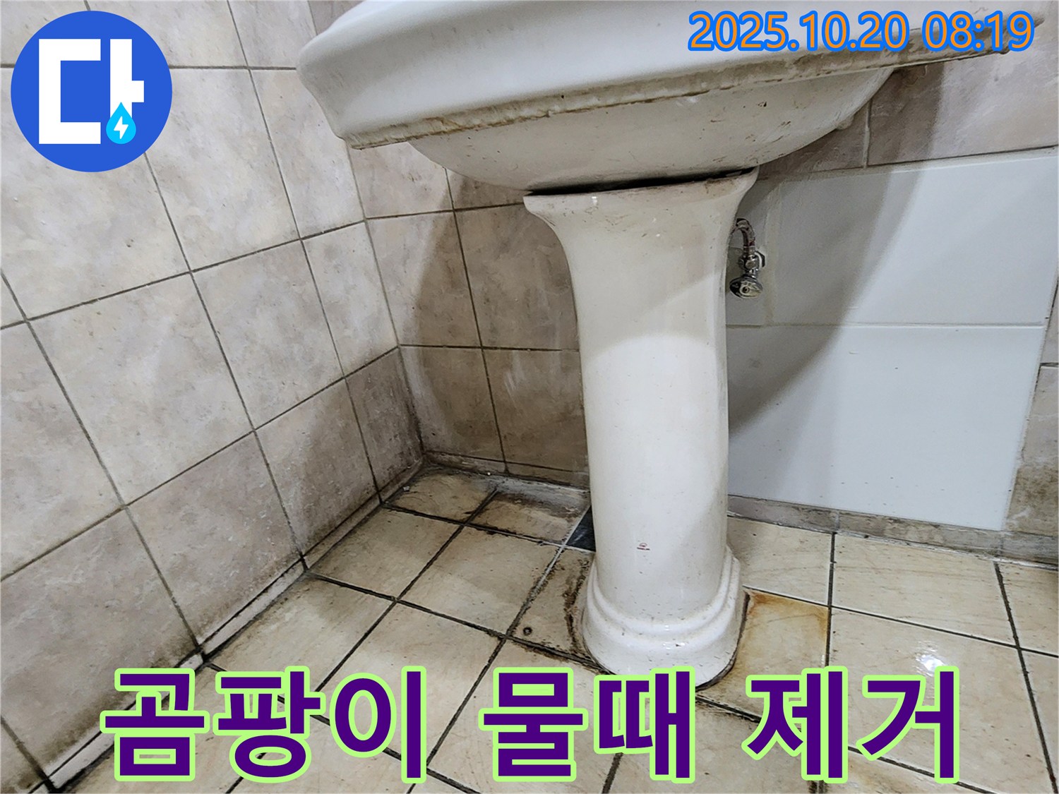 양주시 장흥면 석현리 세면대 주변 - 세면대 주변의 곰팡이와 물때를 완벽하게 제거하는 시공 모습입니다.