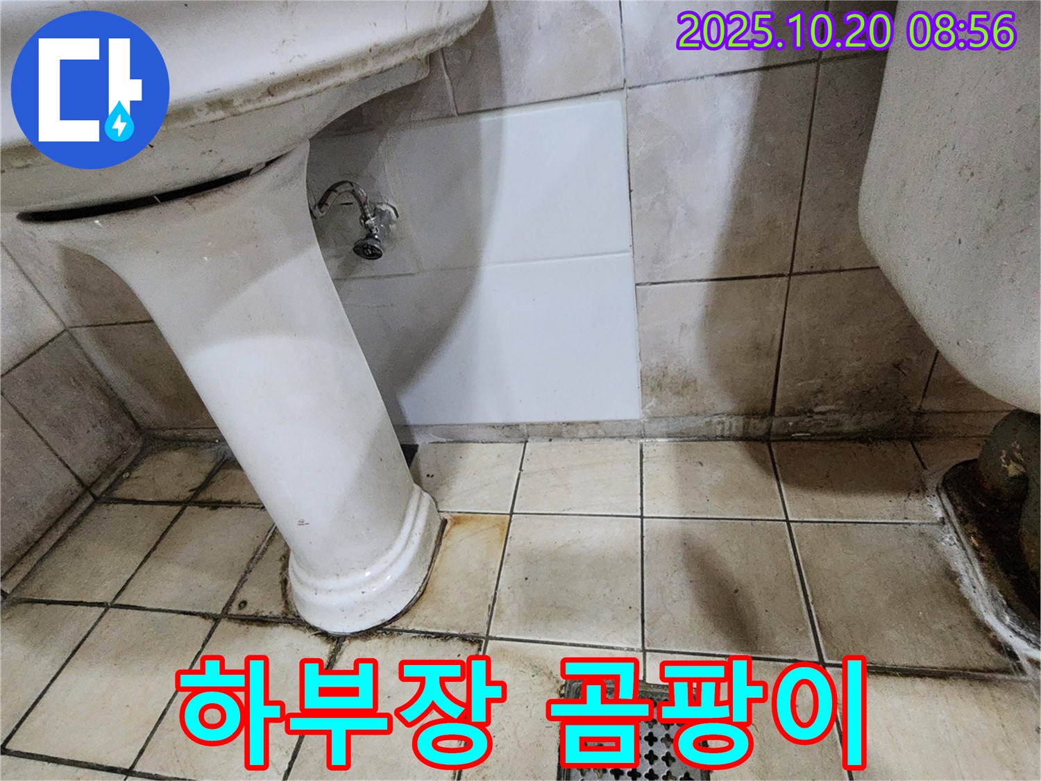 양주시 장흥면 석현리 - 세면대 하부장 내부 습기 및 곰팡이 제거 작업 - 쾌적한 환경 조성