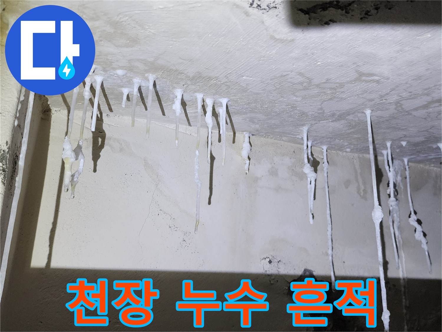 천장에서 아래로 길게 늘어진 백색 석회 고드름