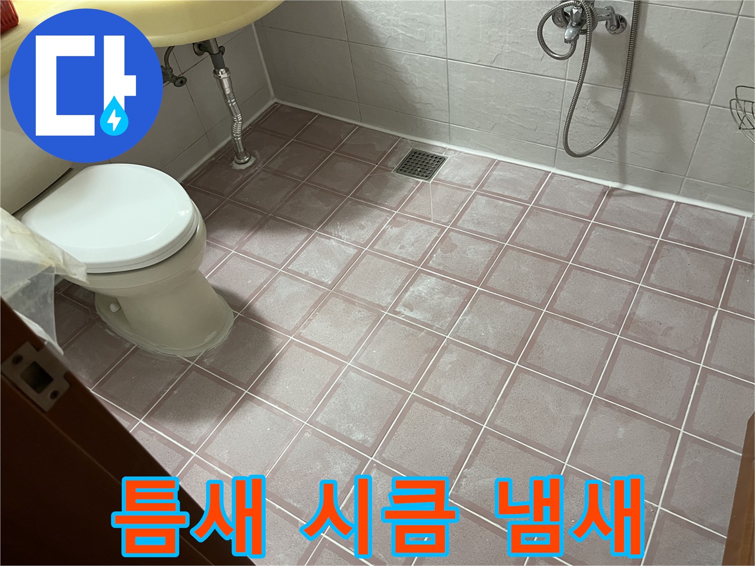 금천구 독산동 형제빌 - 틈새 시큼 냄새, 곰팡이 - 세균