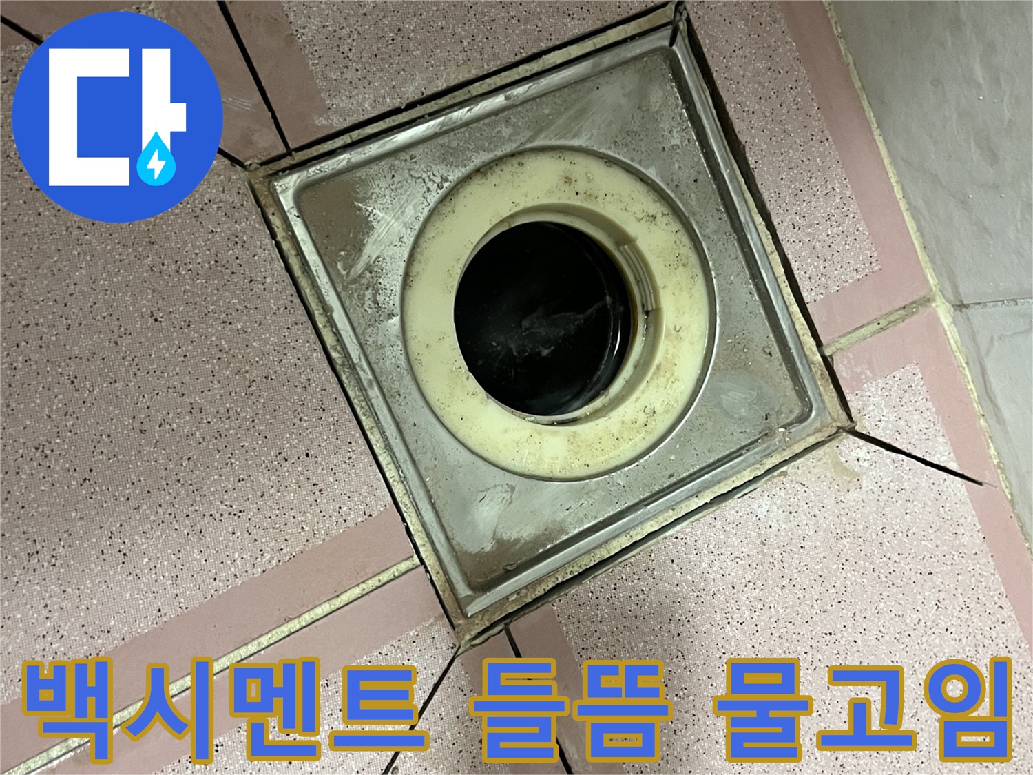 금천구 형제빌 욕실 유가 주변 백시멘트 들뜸 및 물고임 확인 - 보수 필요