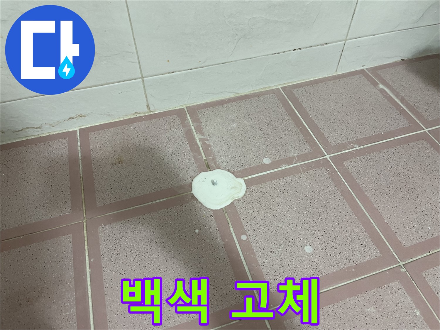 독산동 형제맨션빌 누수 - 타일 위 백색 고체 발견