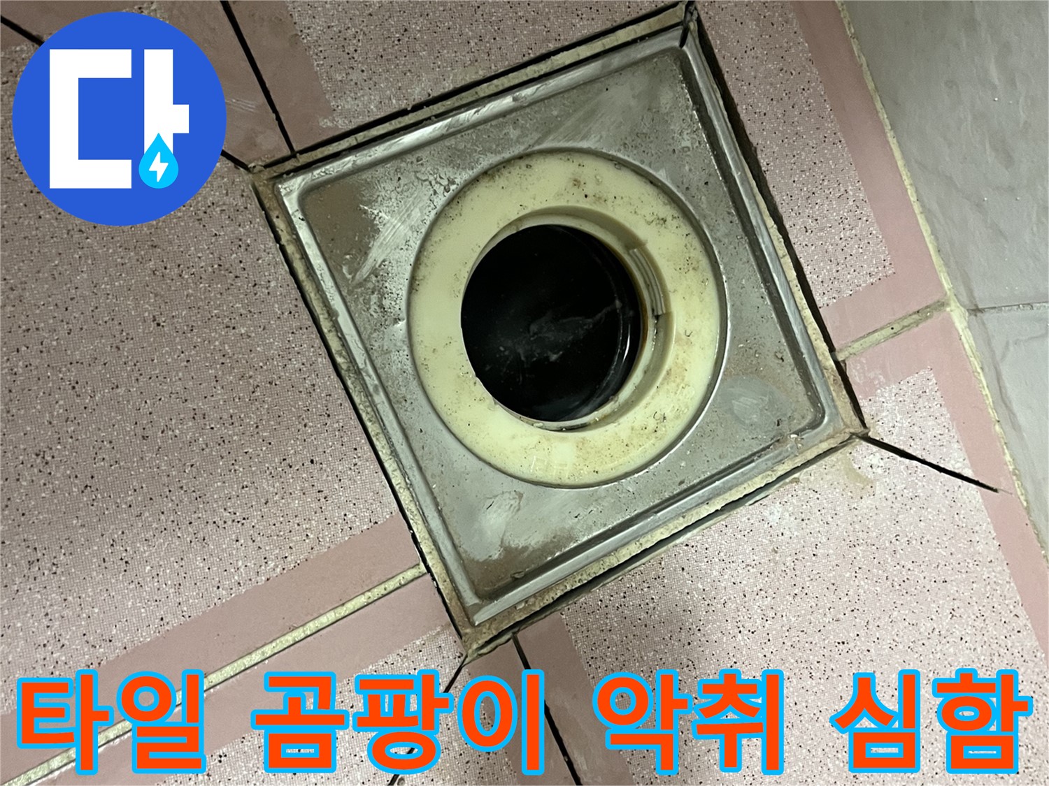 독산동 형제빌 화장실 유가 주변 타일 틈새 곰팡이 악취 심함 - 누수 징후