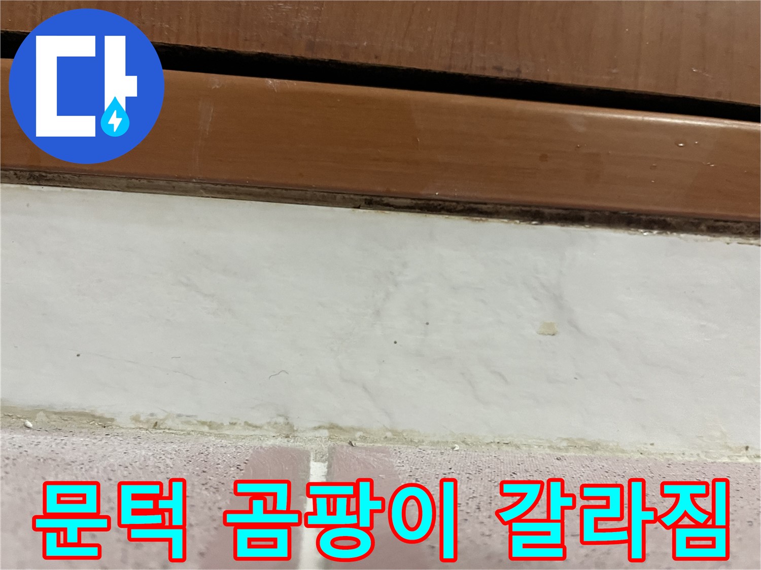 형제맨션빌 누수 - 문턱 아래 타일 틈새 곰팡이와 백시멘트 갈라짐