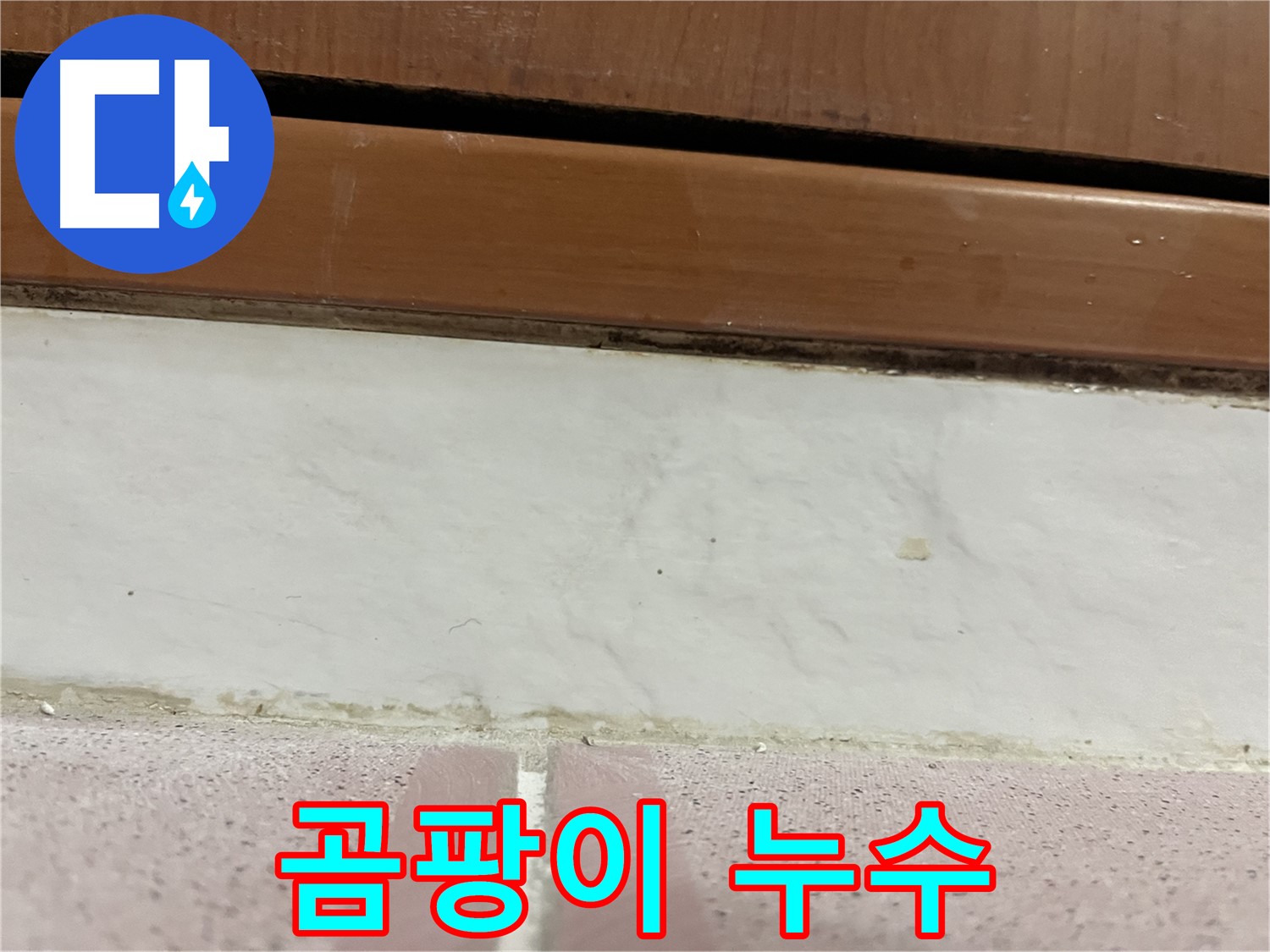형제맨션빌 누수 - 타일 틈새 검은 곰팡이와 누수