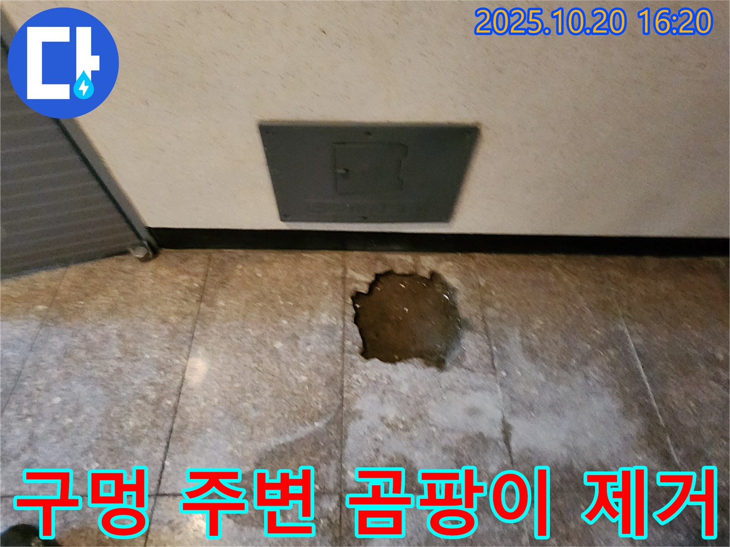 양주 장흥 부곡리 건물 바닥 구멍 주변 곰팡이 싹쓸이 - 깨끗한 공간